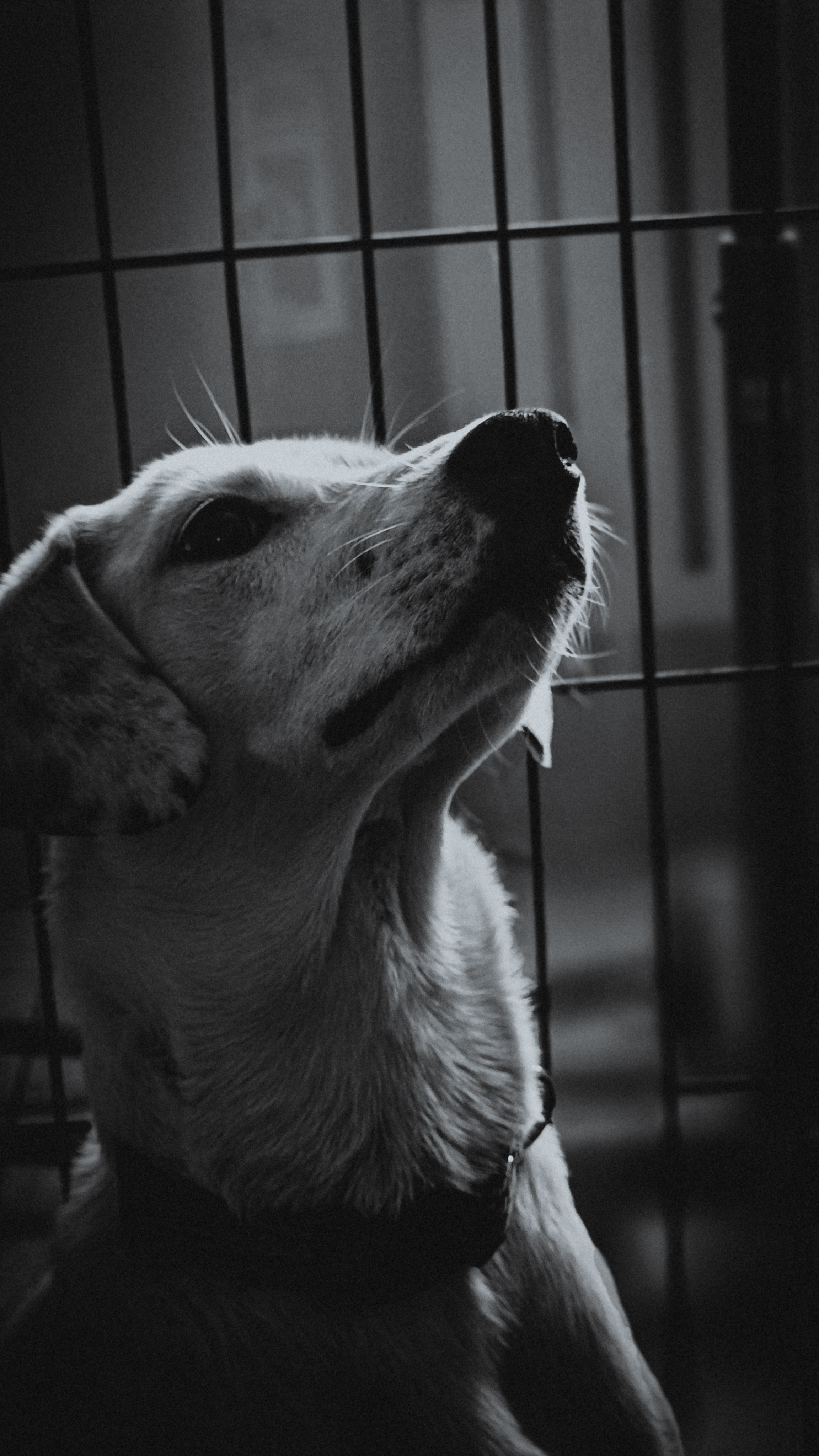 Ожидание. Игорь Урывский. Фотограф Красноярск