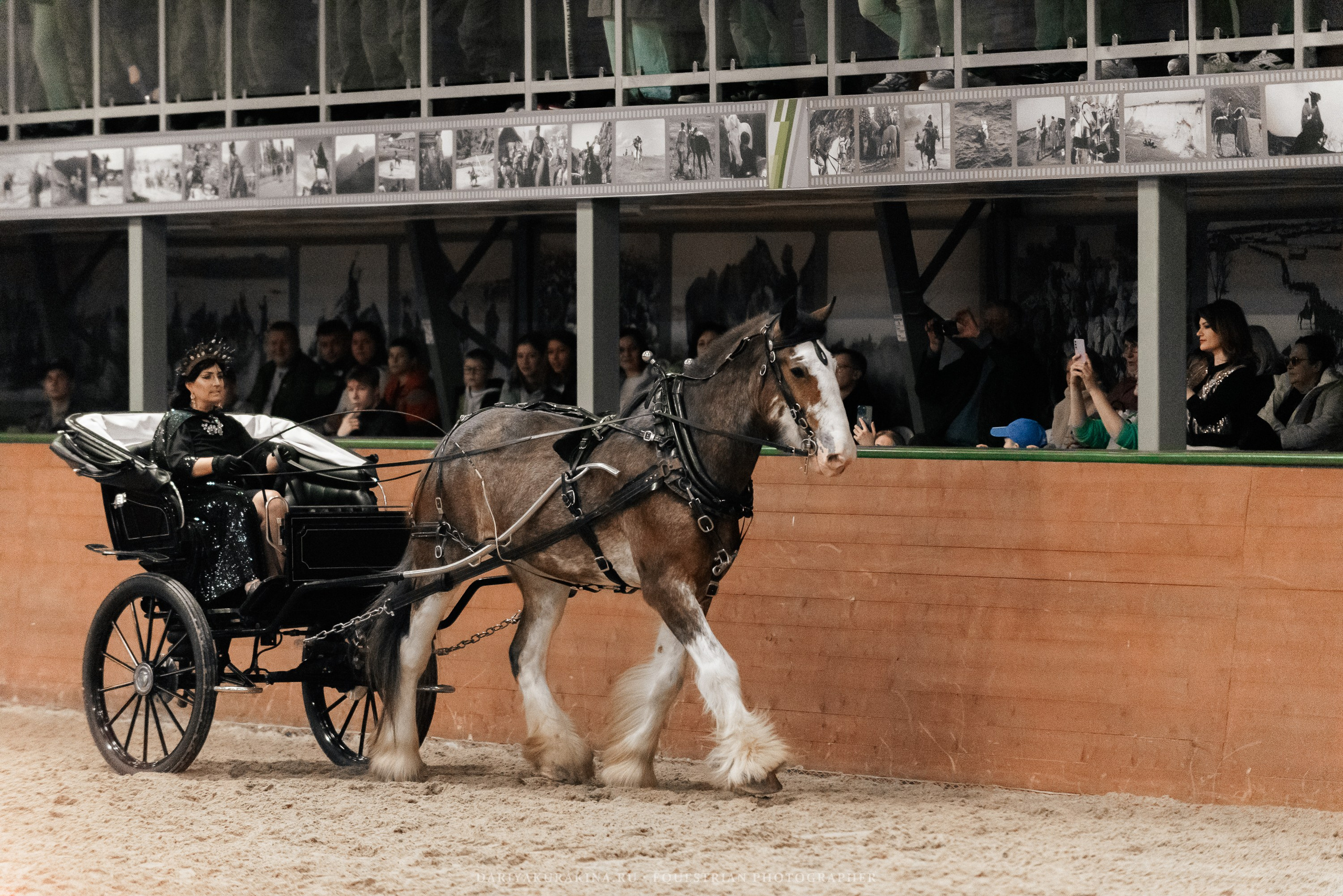 Конное представление «Дыхание Звёзд». Конный фотограф Куракина Дарья • Фотосессии с лошадьми