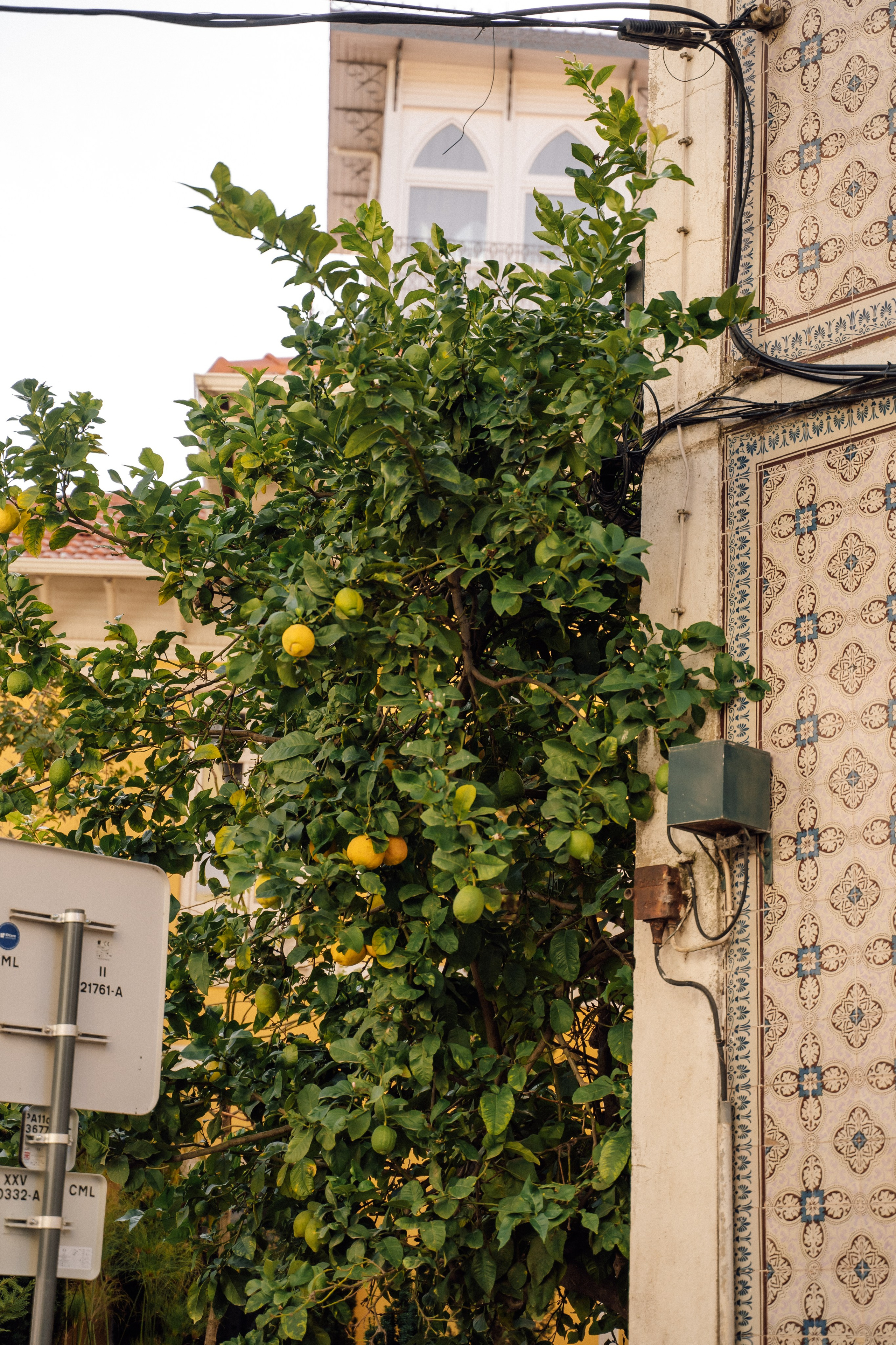 KATE PORTUGAL. Анастасия Вайнер — свадебный и портретный фотограф в Германии и по всей Европе