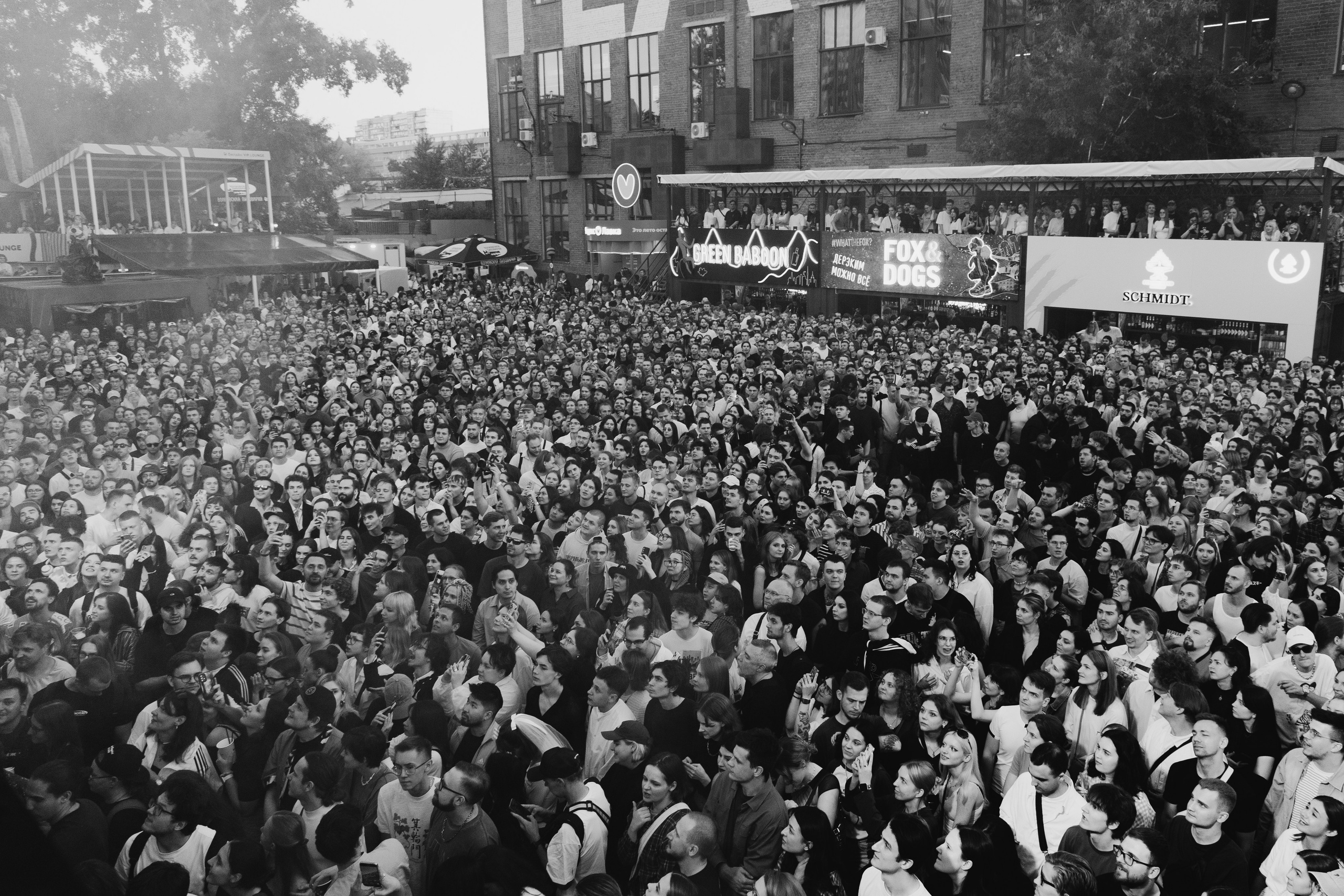 Хаски ’25 Свадьба. RUSLAN ROZANOV