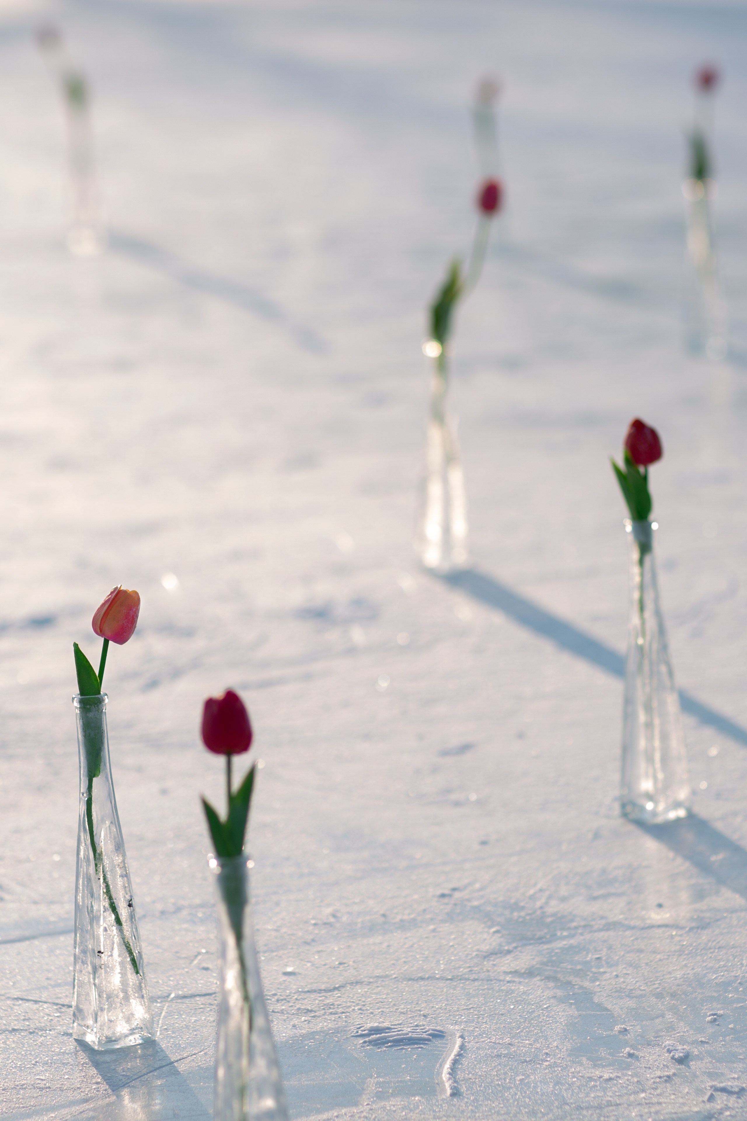 Фигурное катание. Семейный и Детский фотограф г. Москва, г. Борисоглебск