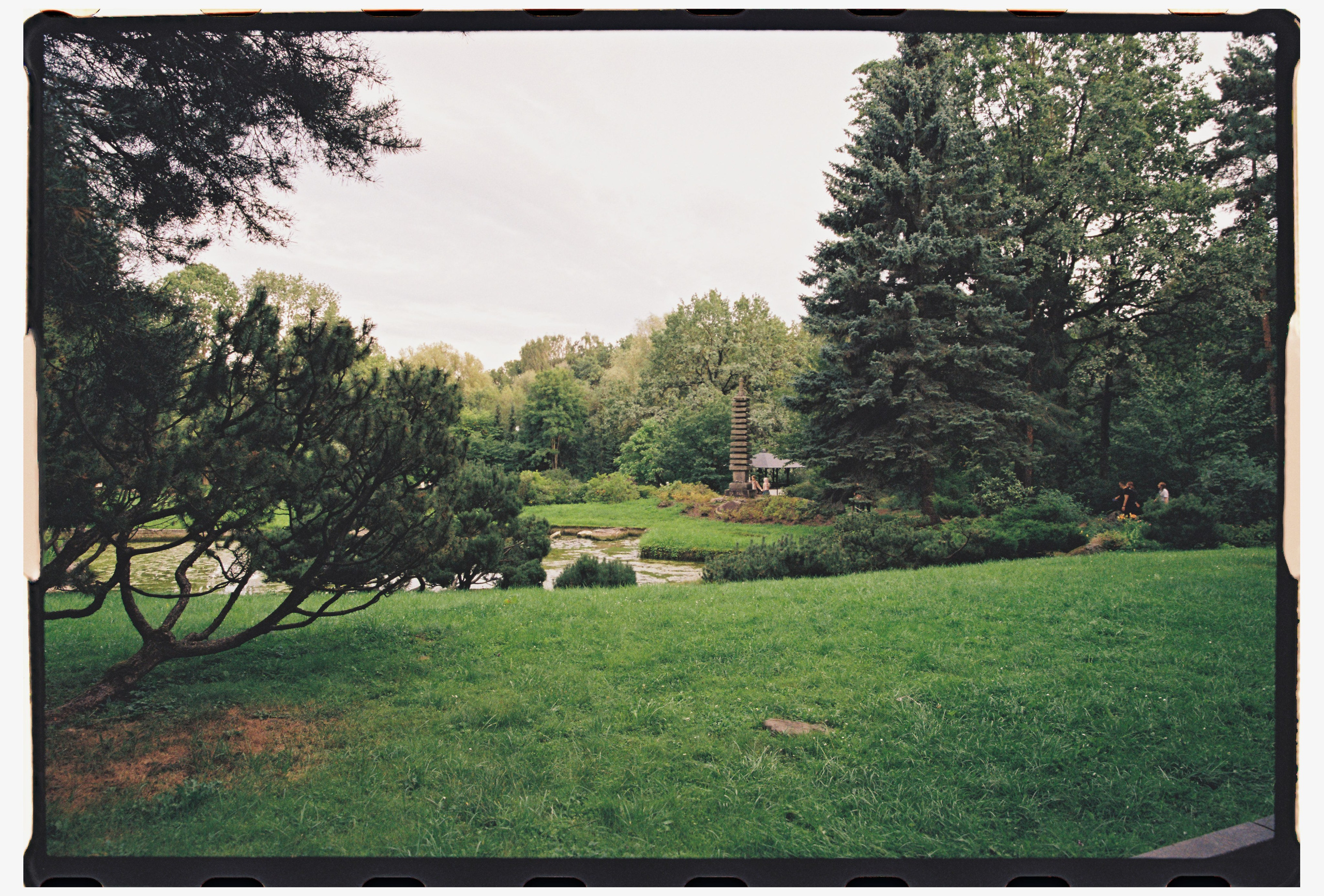 Модель Ася, пленка. Фотограф в Москве. Екатерина Митина