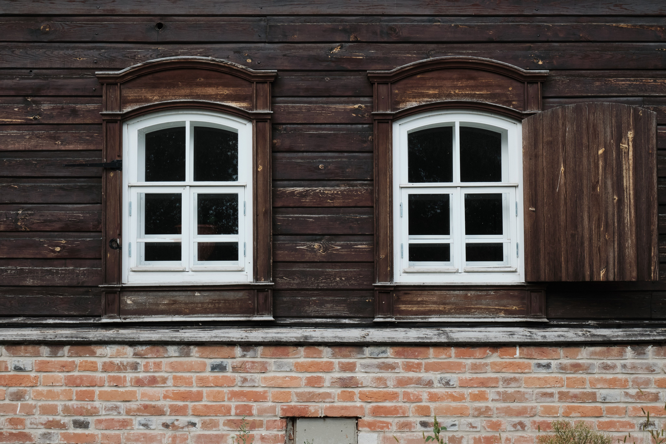 Колывань. Goncharov Tim