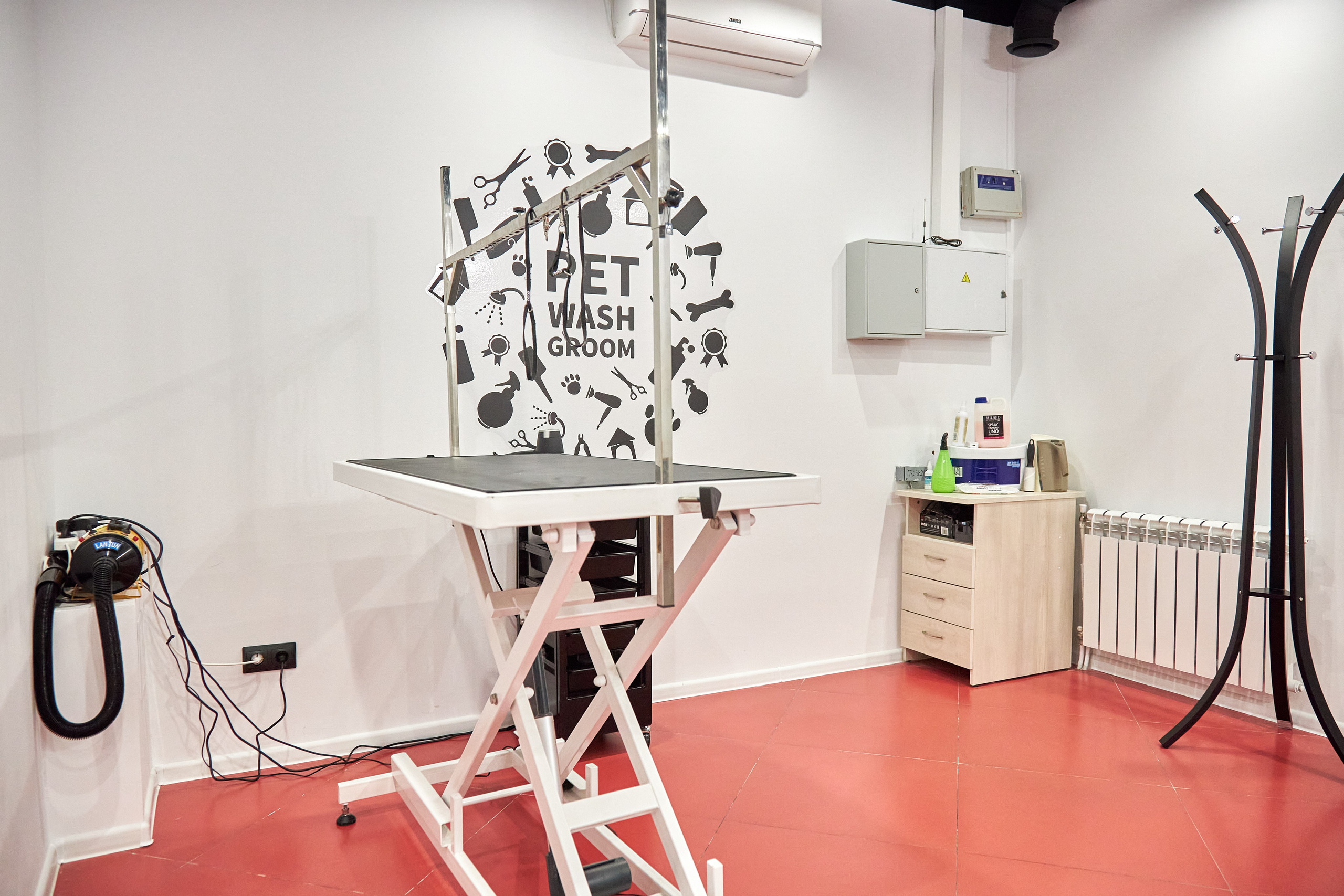 Груминг салон «Стильные лапки». Фотограф Сергей Феденко