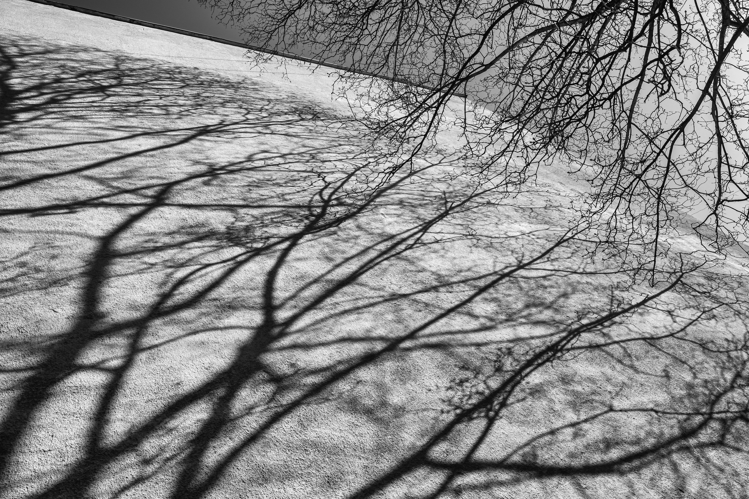 Abstraction. Dimitri Bakhtadze photographer