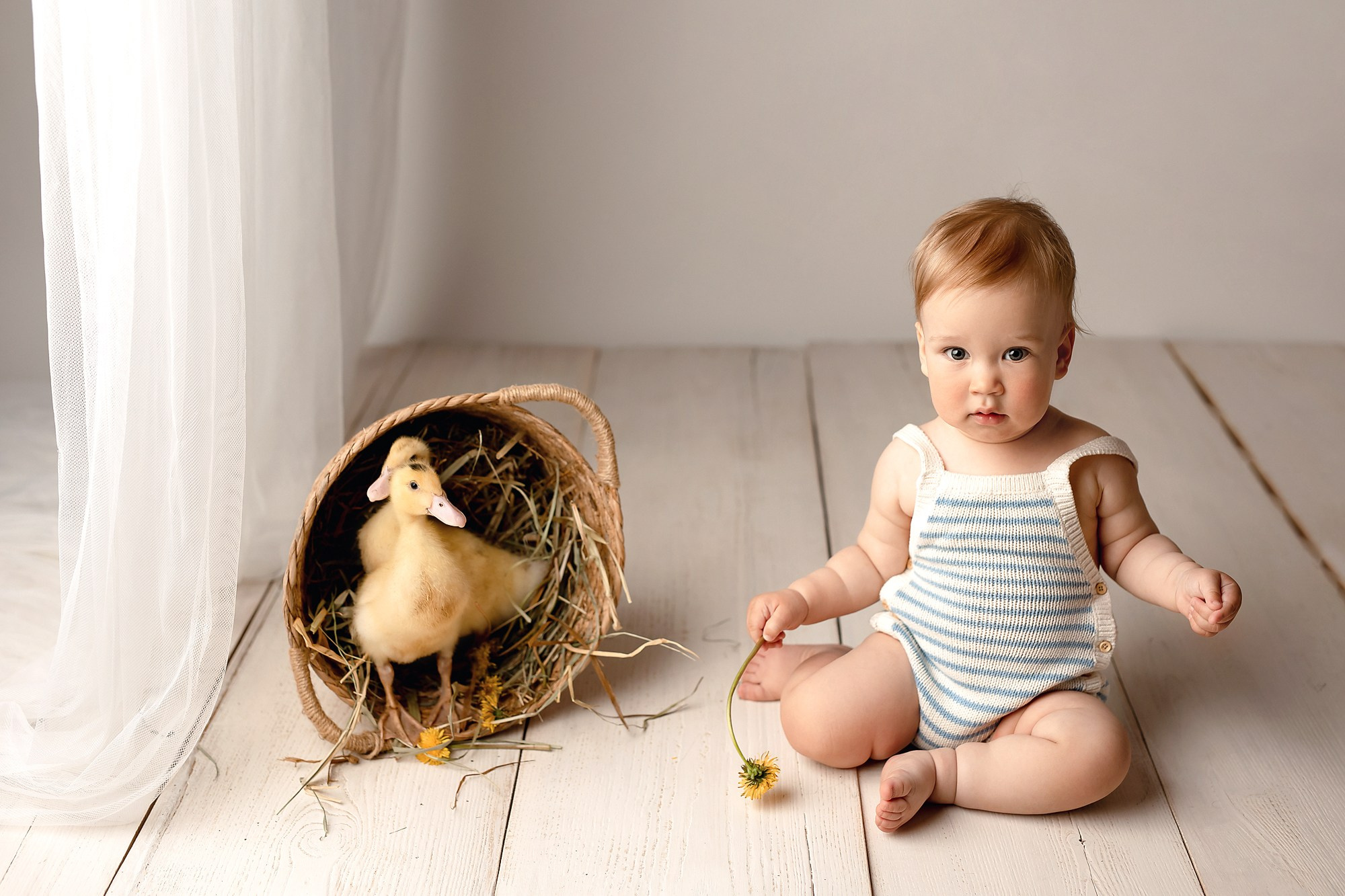 Первый годик. Фотограф новорожденных