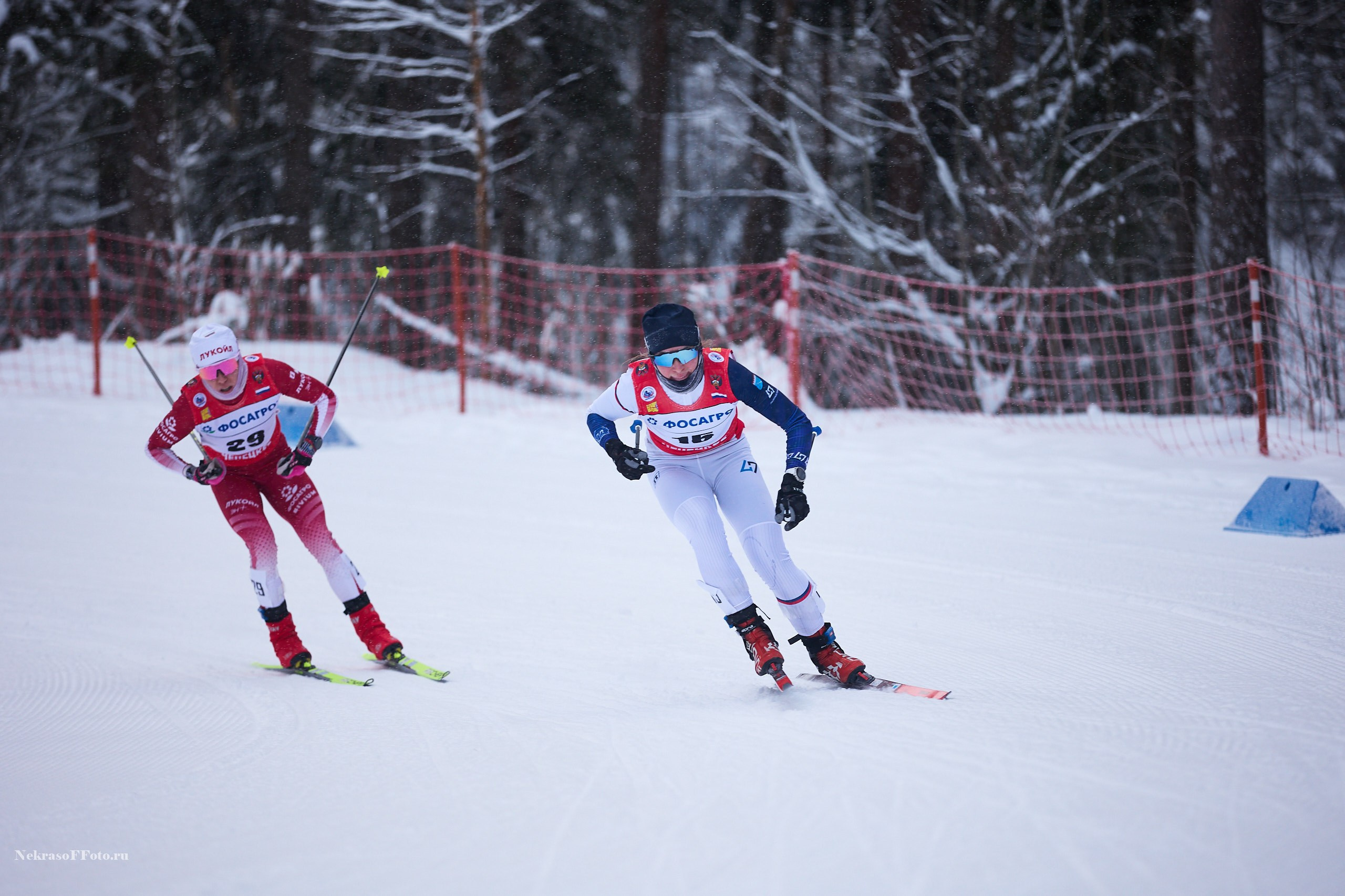 Кубок России по Лыжным гонкам. Спортивный фотограф Некрасов Денис