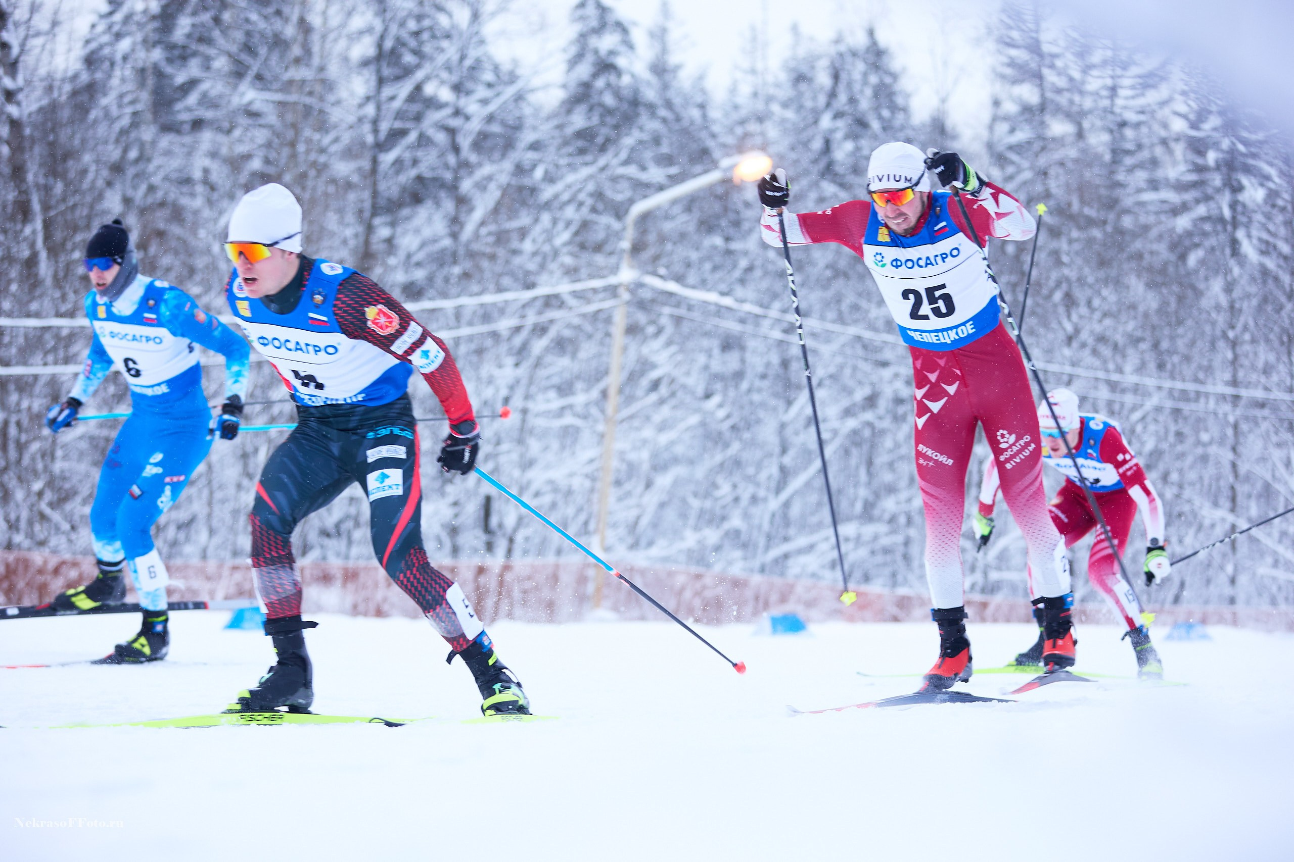 Кубок России по Лыжным гонкам. Спортивный фотограф Некрасов Денис