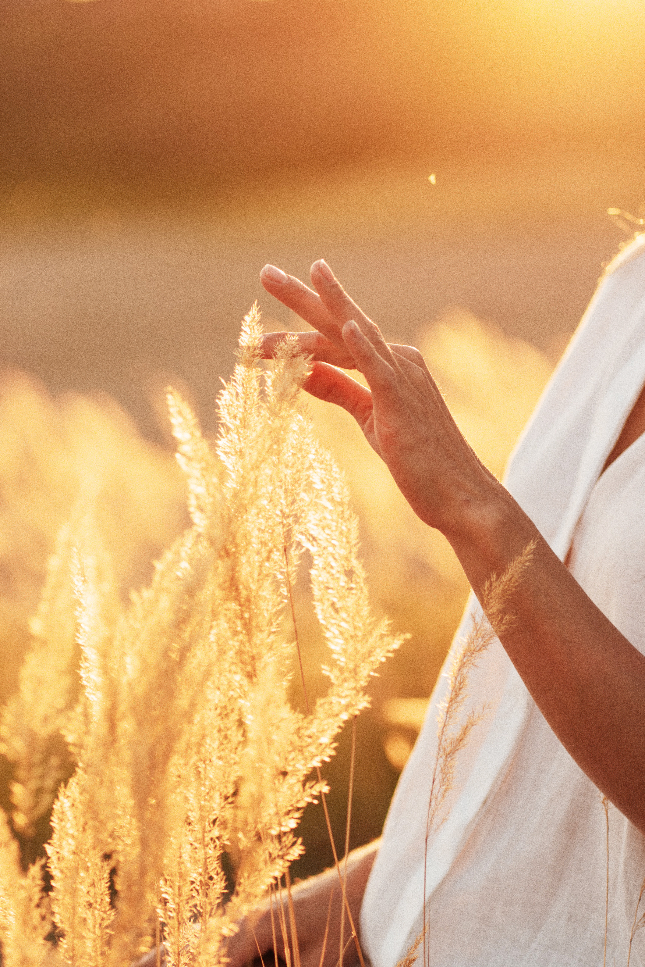 Ольга. Семейный фотограф, фотосессия беременности в Новосибирске Кристина Киб