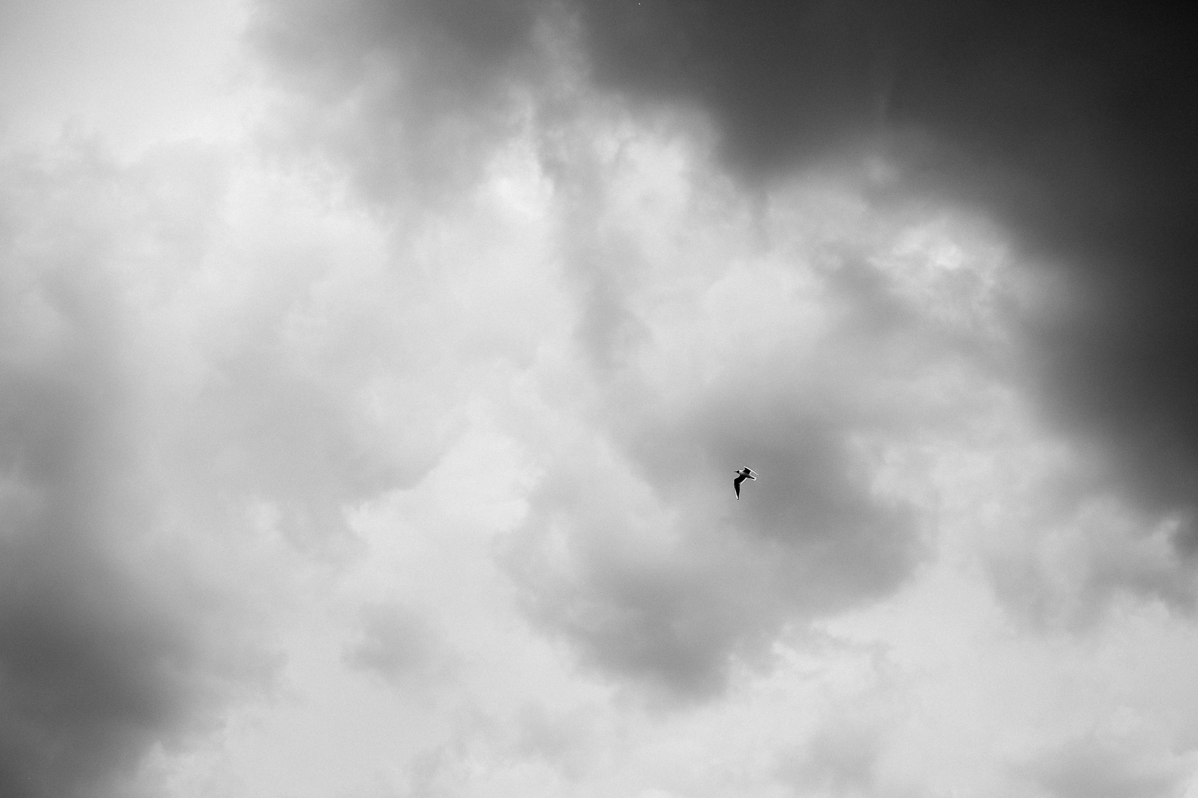 Анонс свадьбы Анастасия и Виктор. Свадебный фотограф в Воронеже Денис Коровин