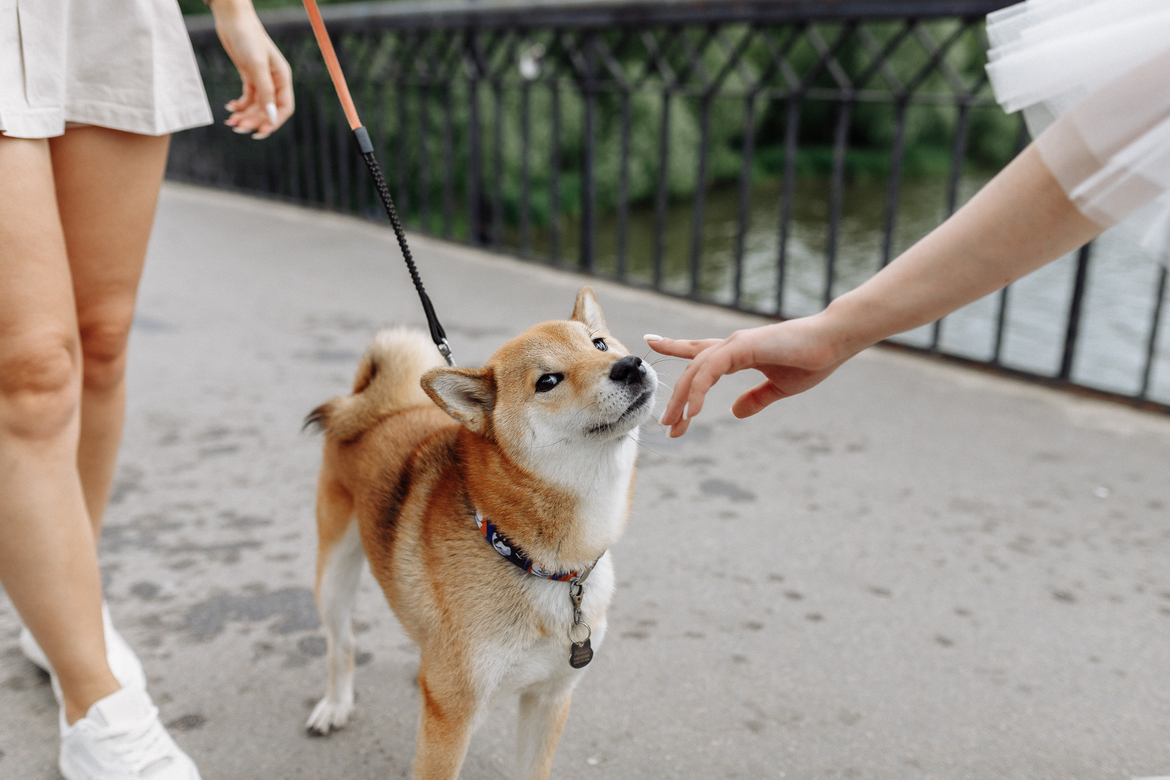 Анонс свадьбы Анастасия и Виктор. Свадебный фотограф в Воронеже Денис Коровин