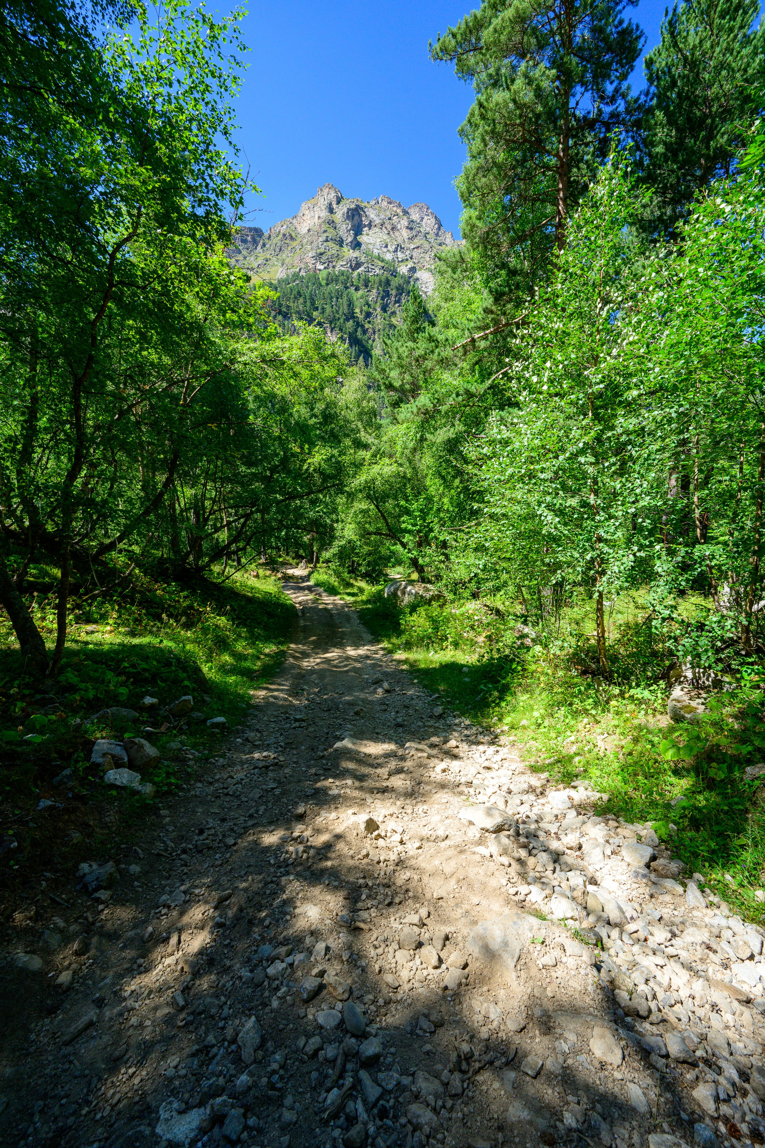 Экспедиция 2025