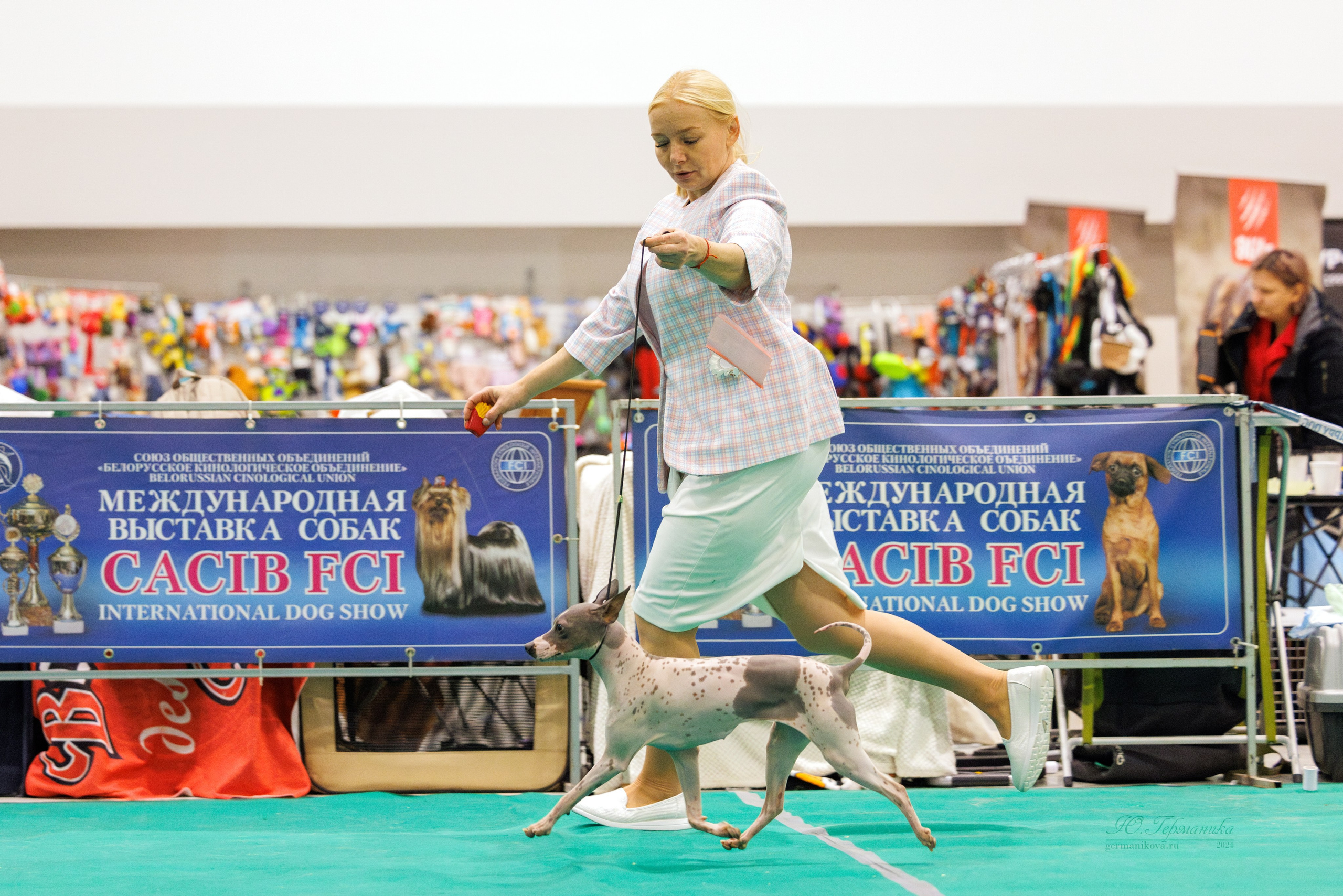 Минск 23.11.2024. Фотограф-анималист Юлия Германика