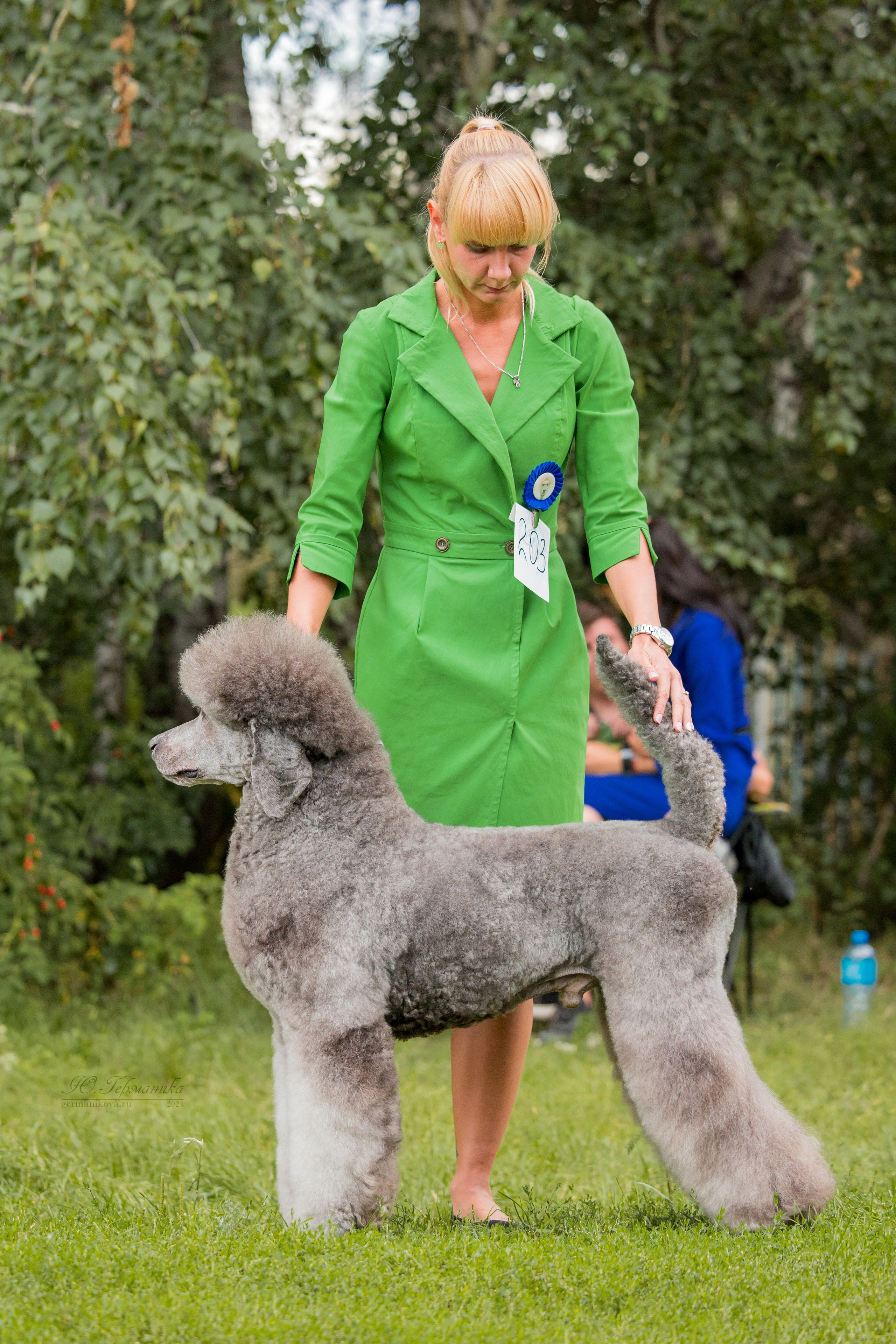 Астана 2хCACIB 17-18.08.2024. Фотограф-анималист Юлия Германика