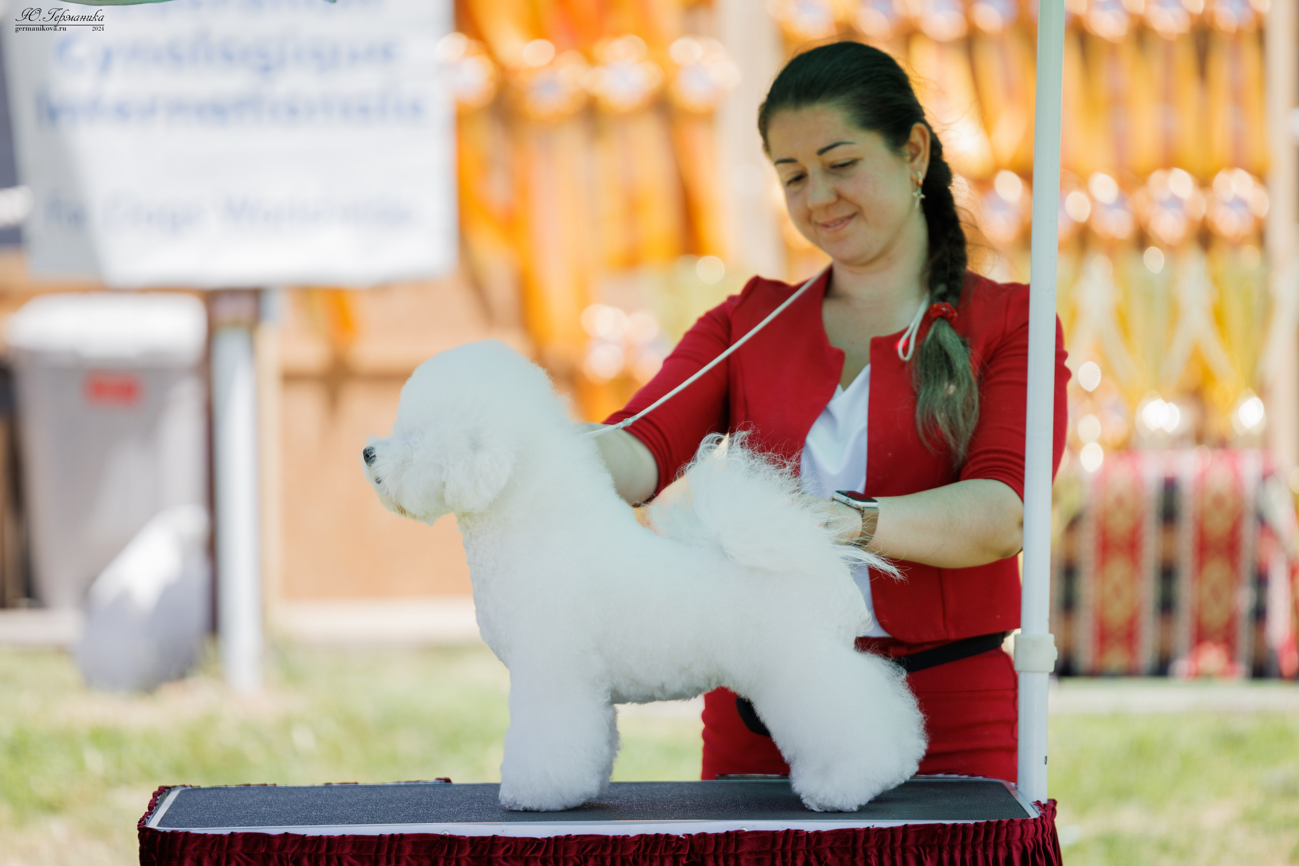 Ереван 3-5.06.2024. Фотограф-анималист Юлия Германика
