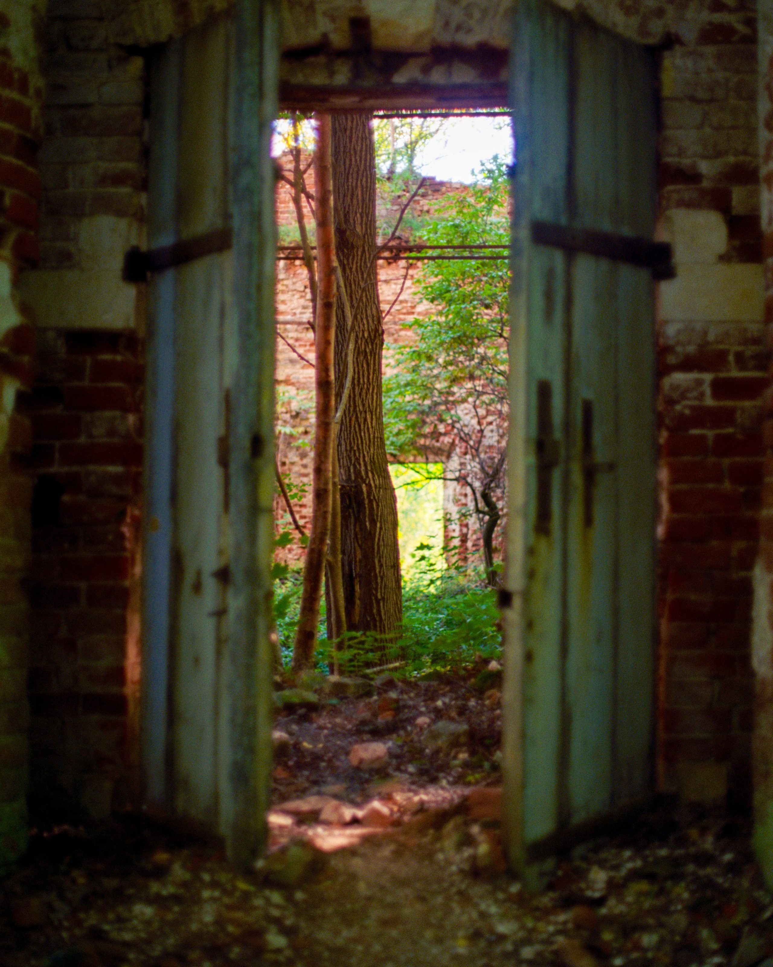 Kodak. Василий Буйлов|Vasilii Builov