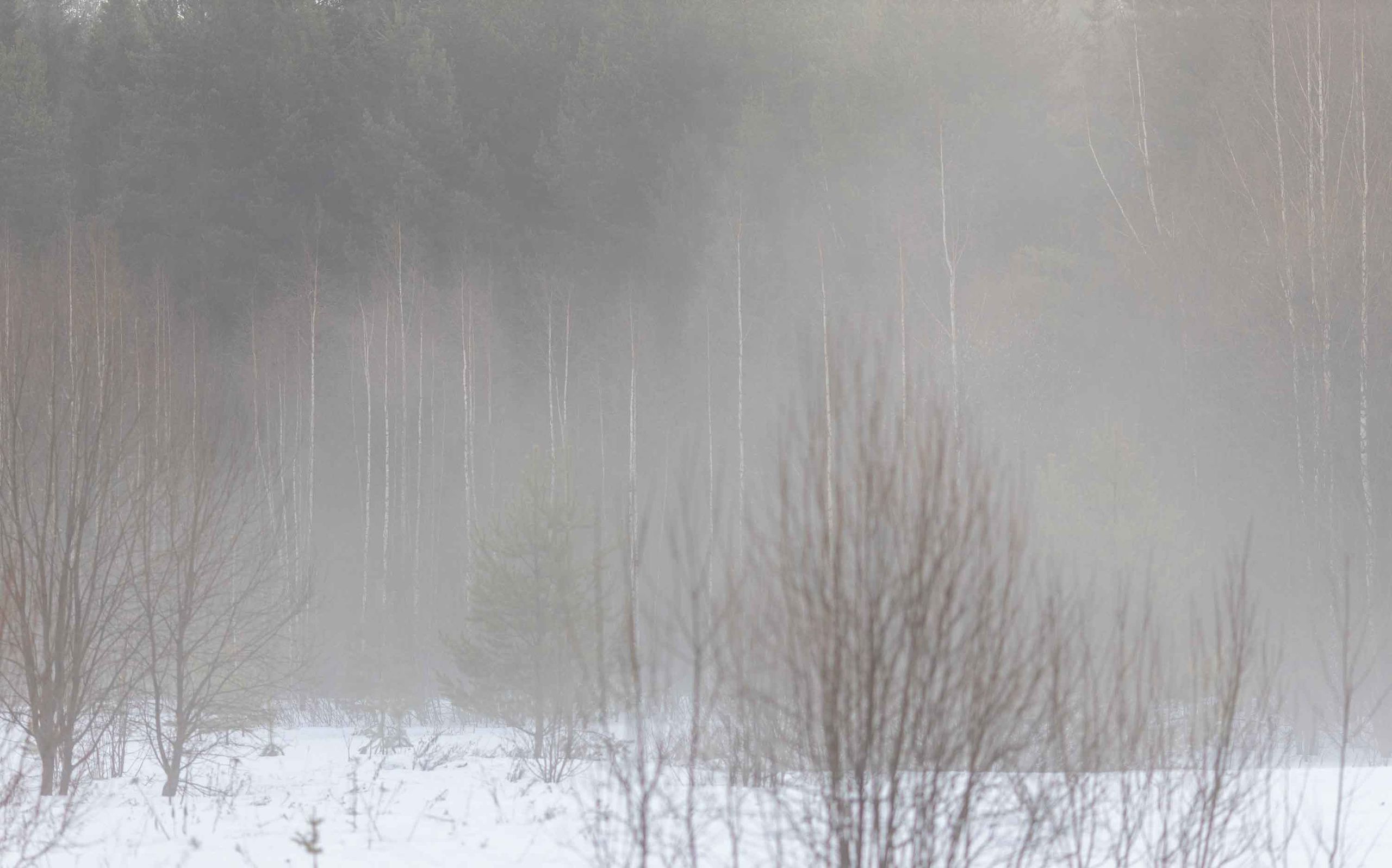 Природные пейзажи. Наталия Клевинскас портретный фотограф в Костроме