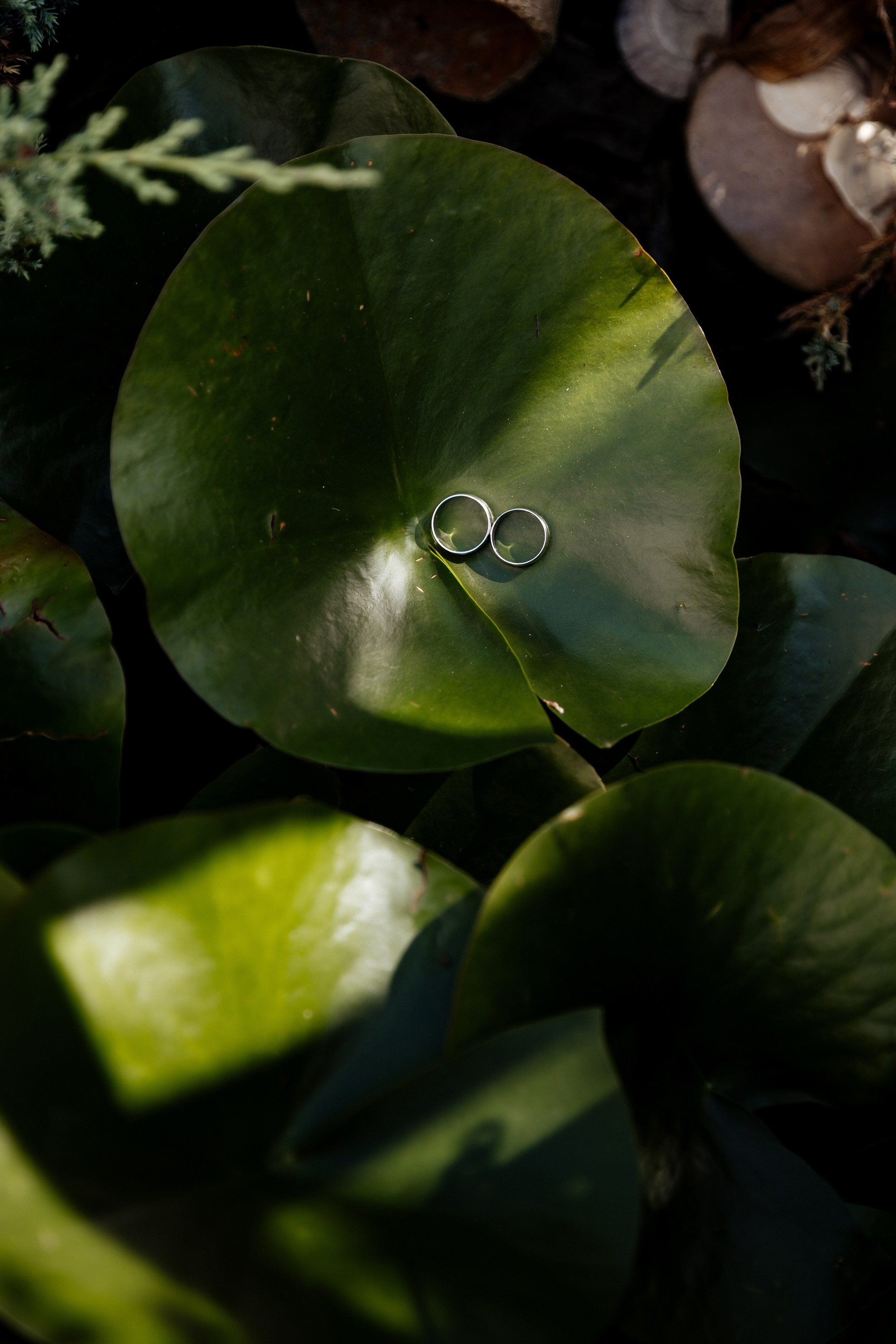 12 июля WED. Свадебный фотограф Анастасия Пелевина