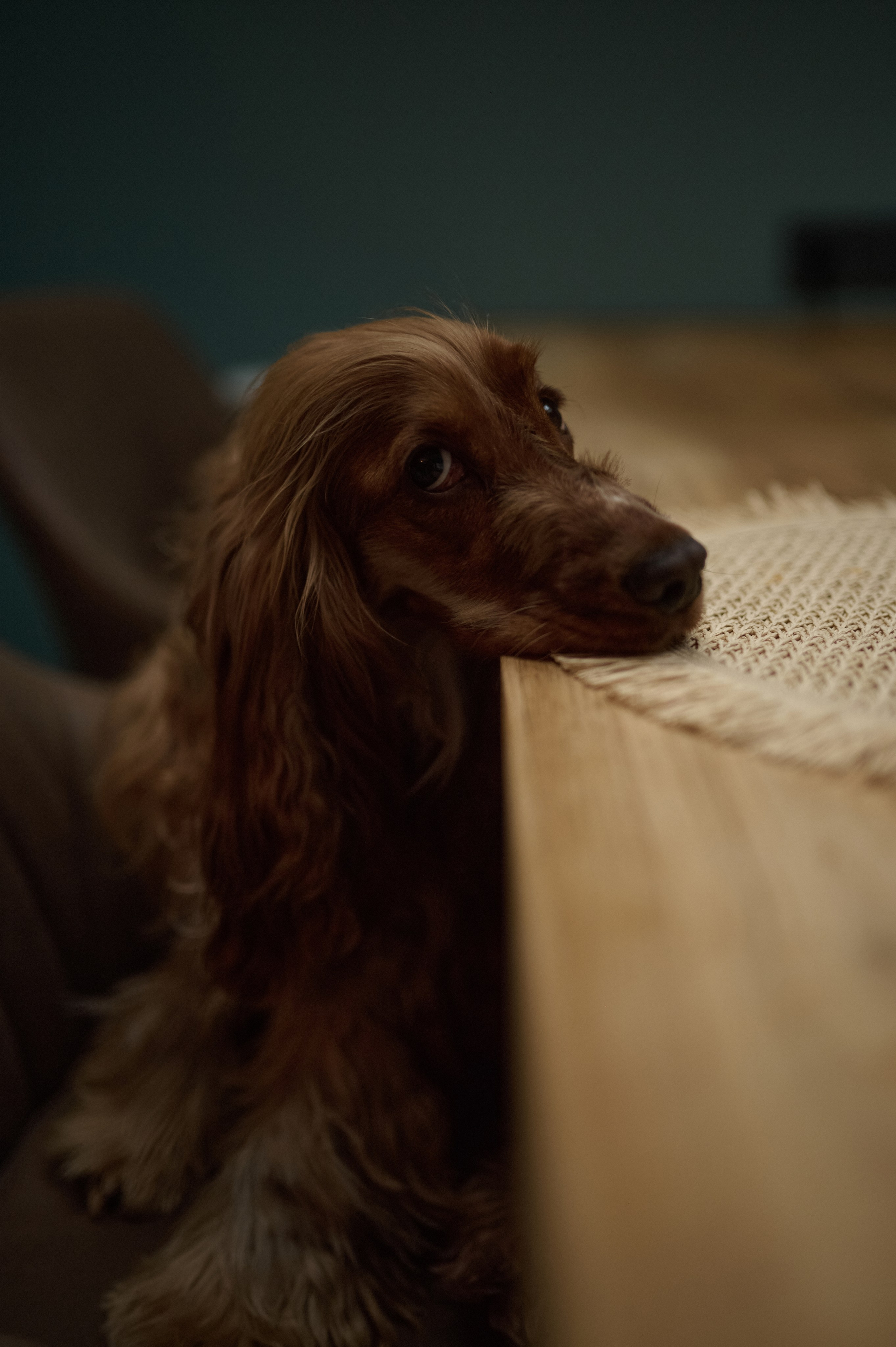 Егор и Аня. Свадебный фотограф МОСКВА, КРЫМ, СМОЛЕНСК АЛЯ КОНОВАЛОВА