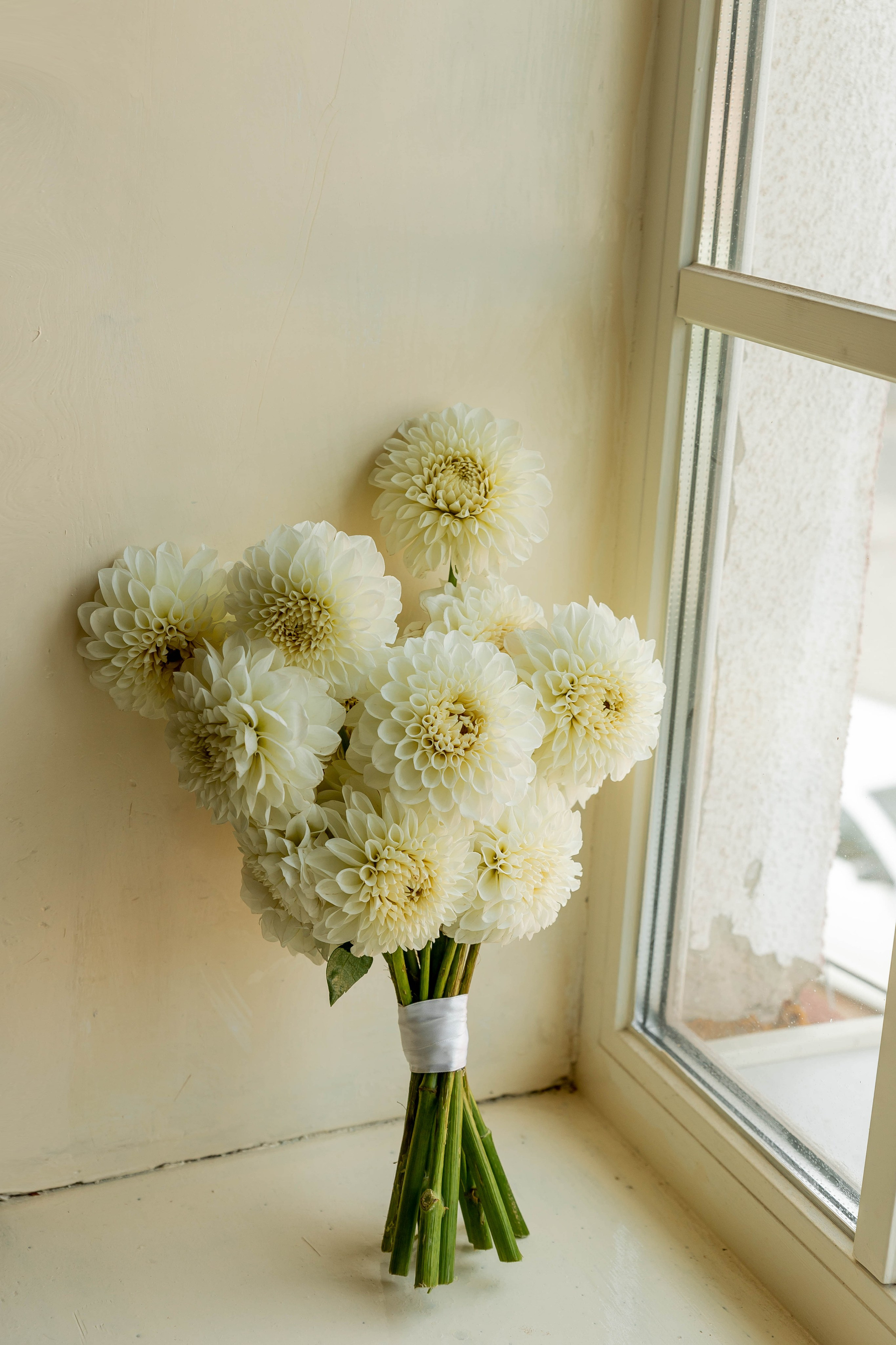 Даша|Коля. Свадебный фотограф Надежда Рыжикова