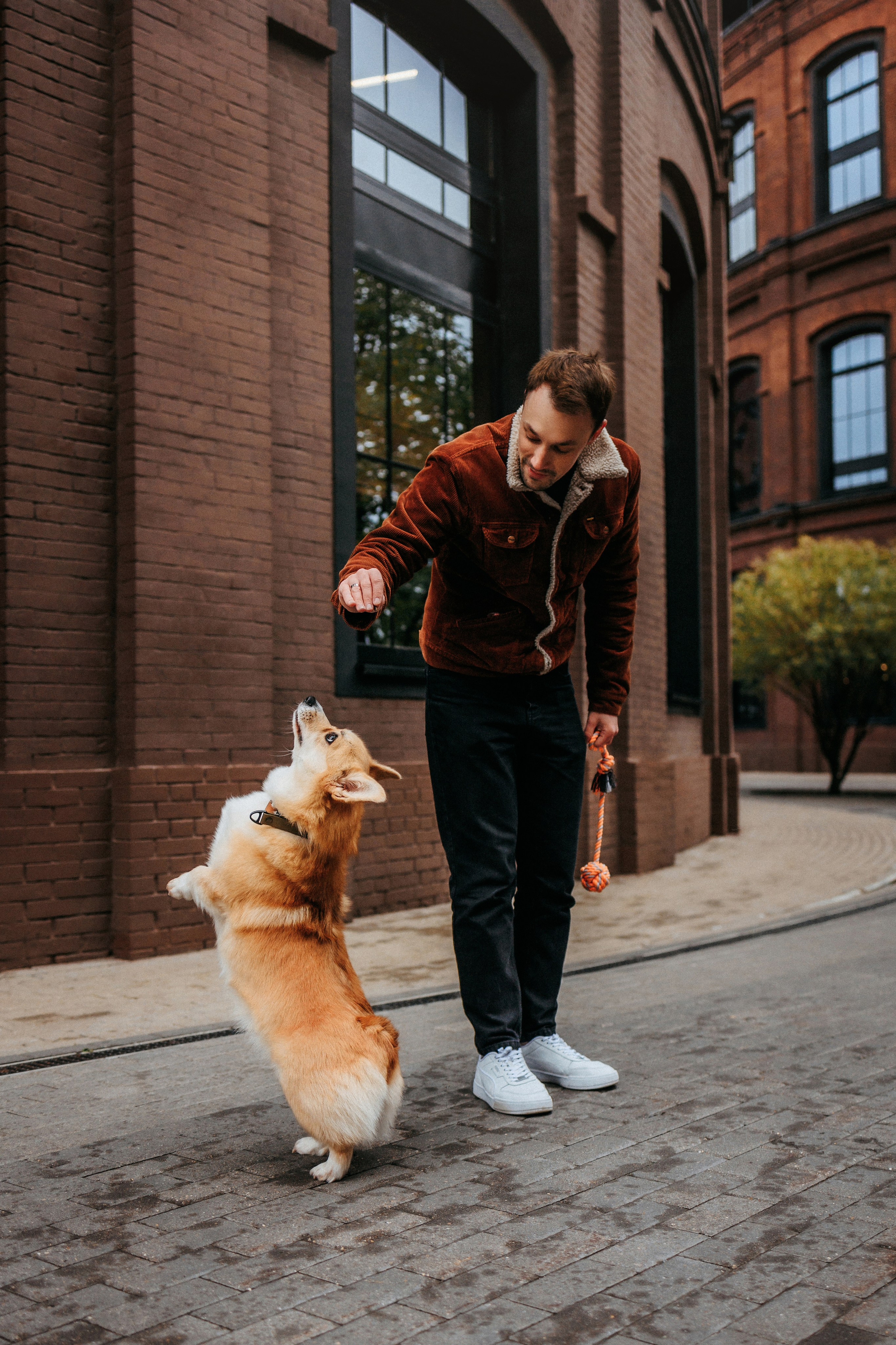 Вера, Саша и Муна. Фотограф-анималист Елена Радченко, Москва