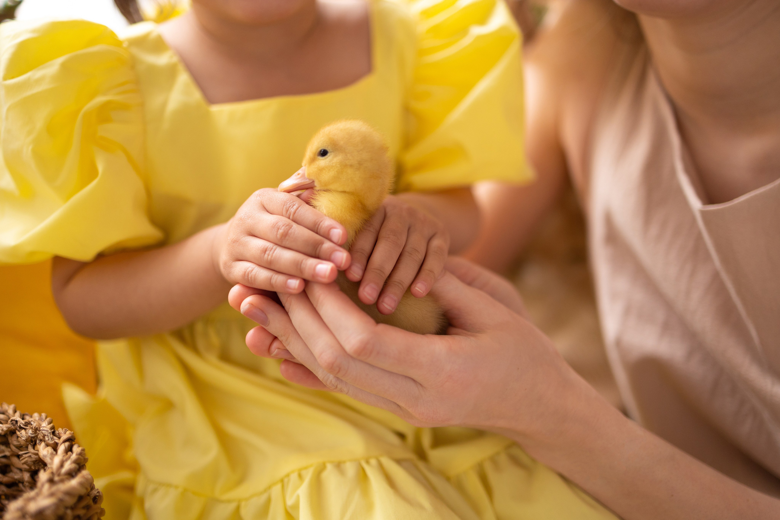 Ирина. СЕМЕЙНАЯ ФОТОСЕССИЯ МОСКВА