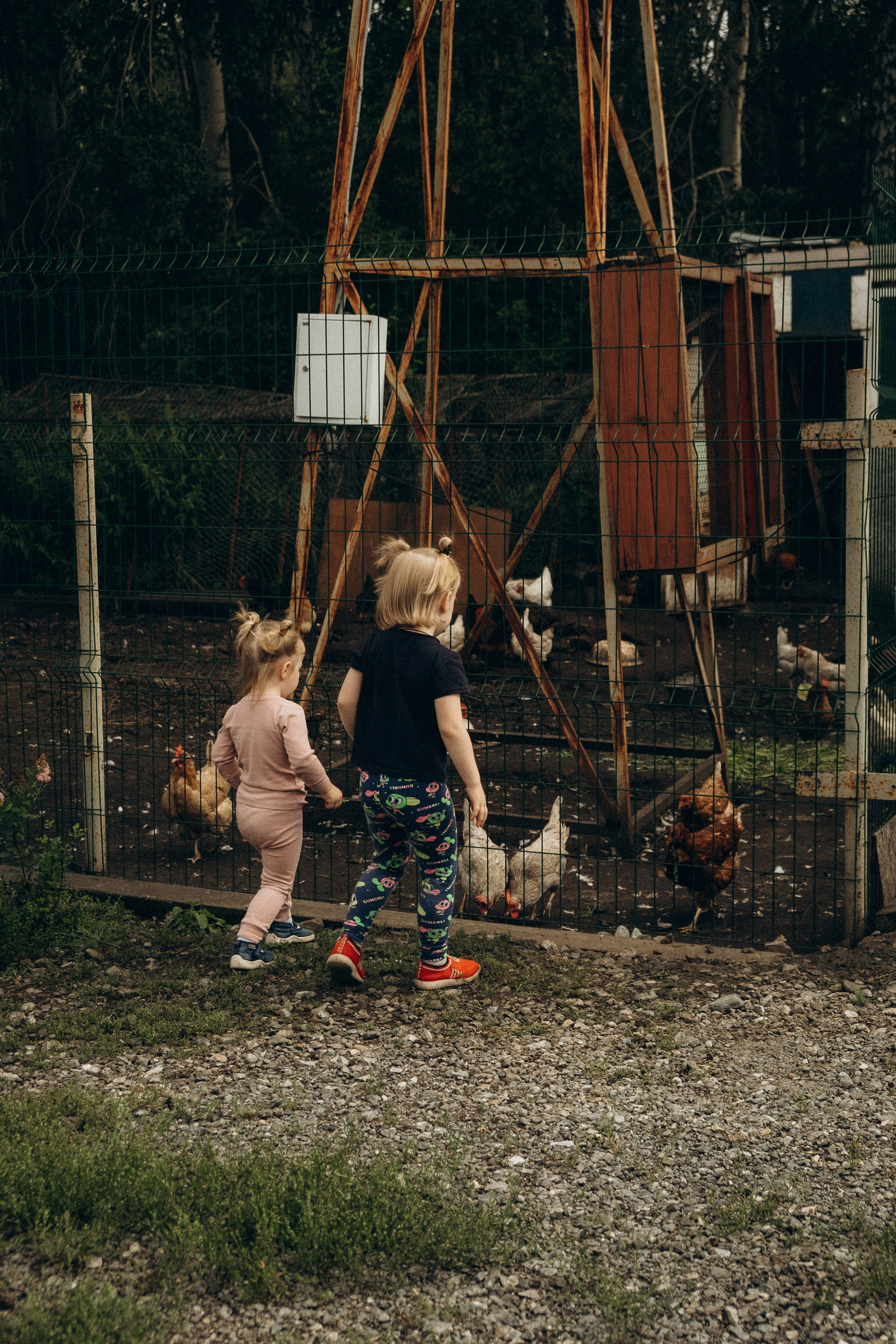 Соня и Алёнка в гостях у дедушки. Фотограф Евгения Войко Тюмень