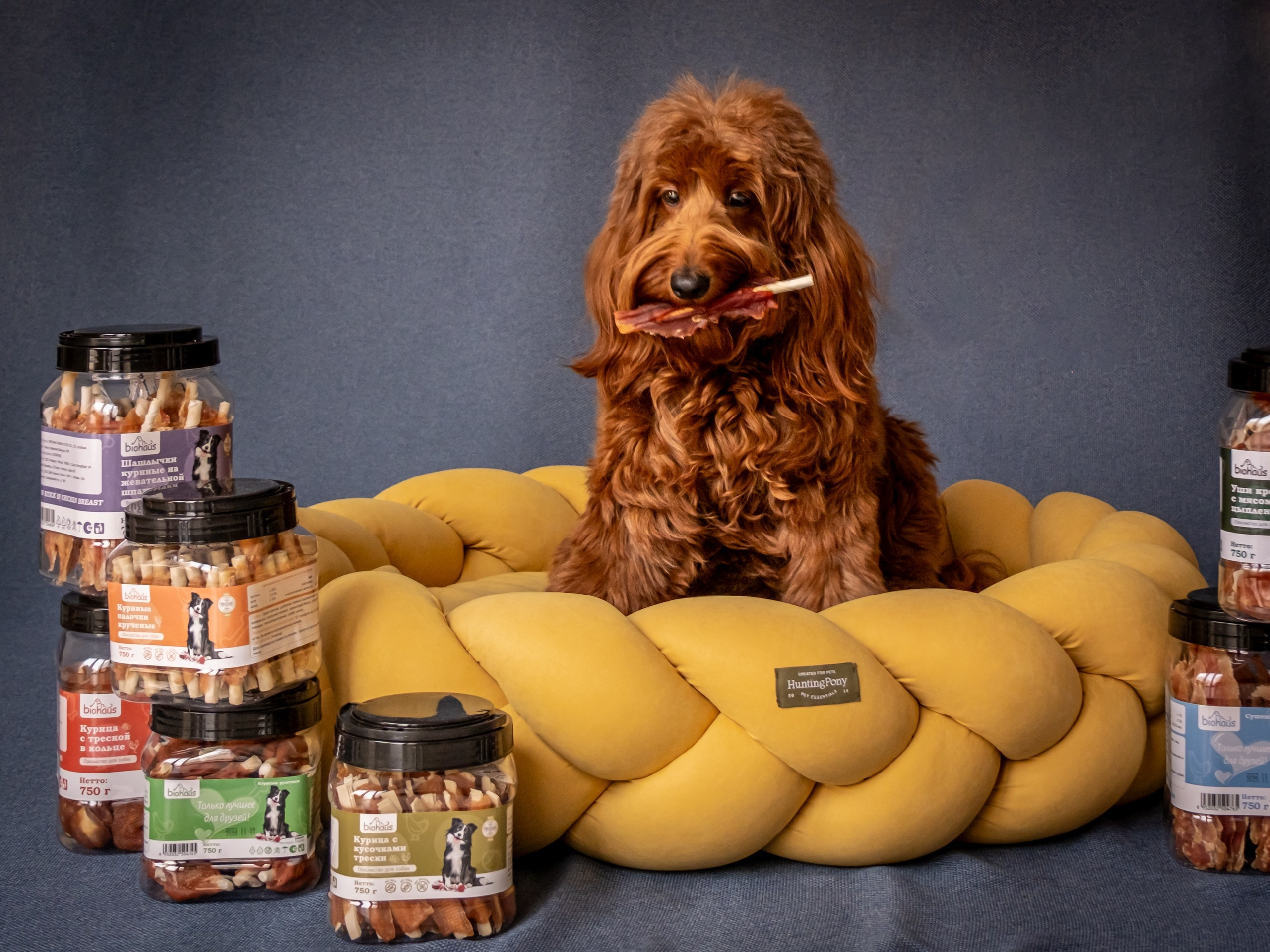 Съёмка для рекламы лакомства для собак (для Марии)!. Зоофотограф, фотограф животных в Москве и области Дина Дамоцева