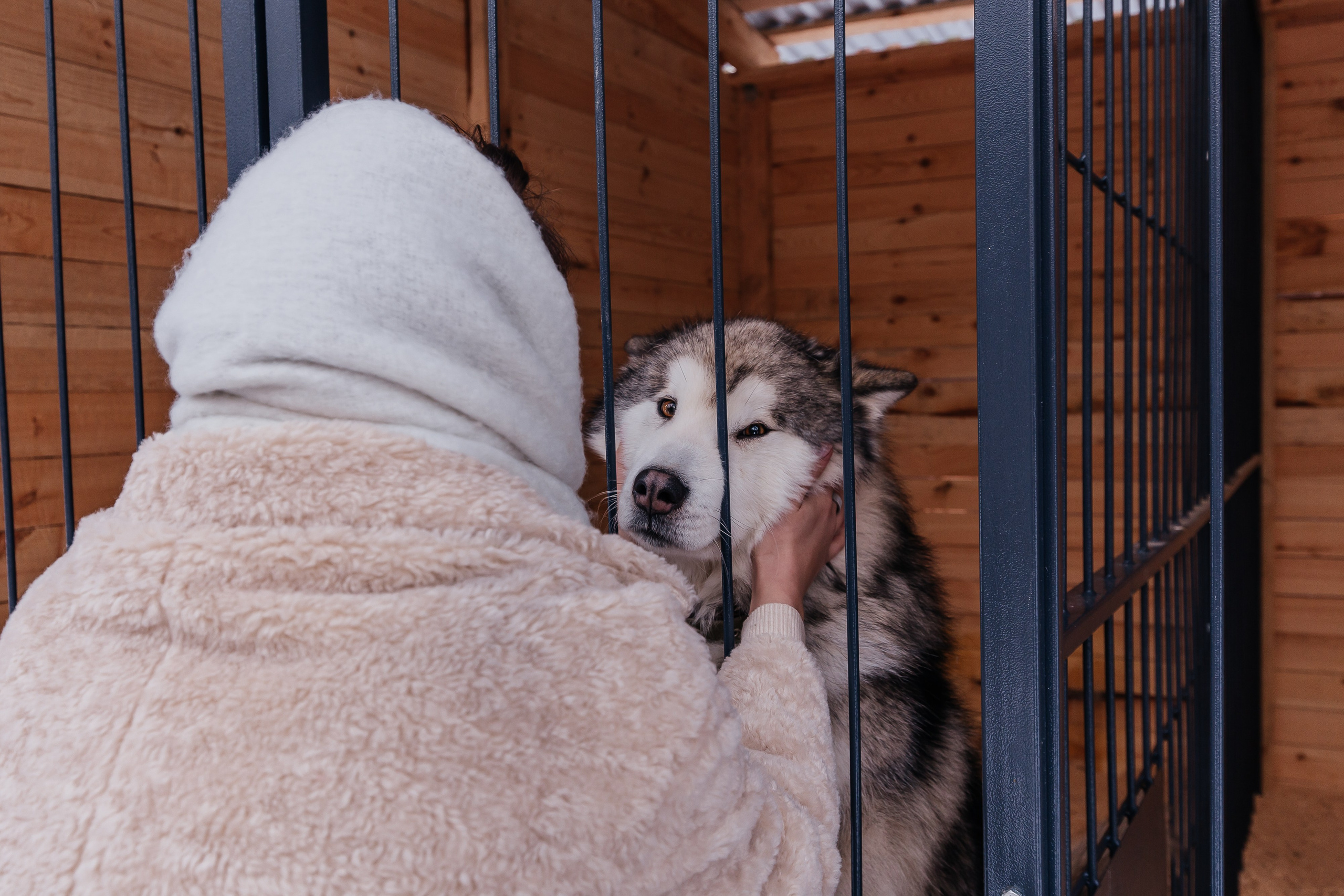 Jaecoo J7 6.0. Фотограф в Самаре / Олеся Широнина