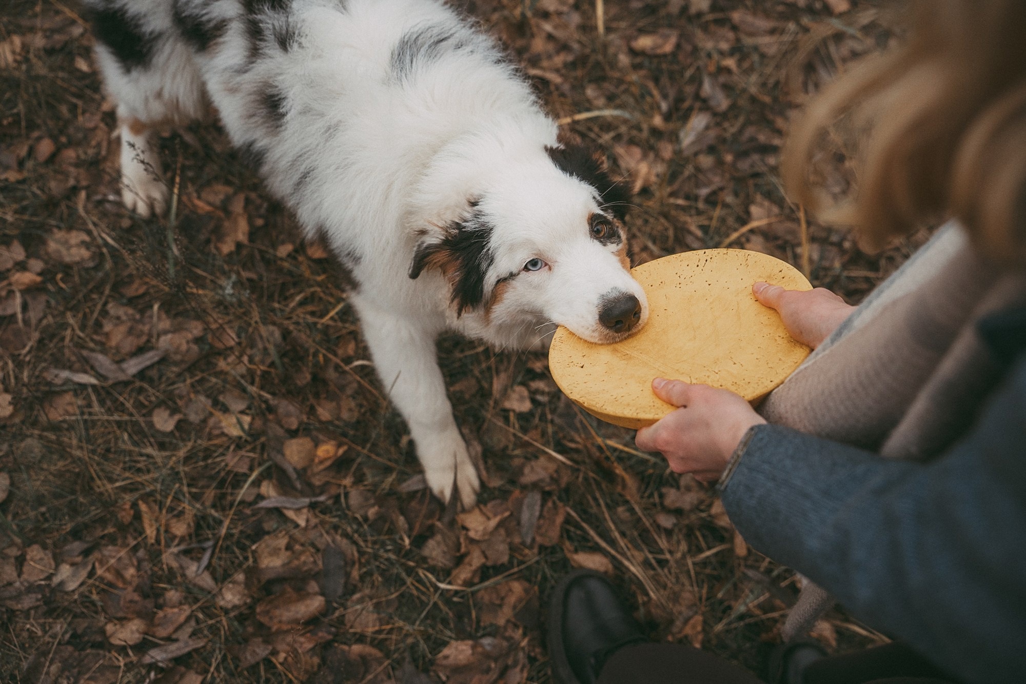 Лиза и Бублик. Фотограф анималист в Москве и Санкт-Петербурге Свиридова Анна