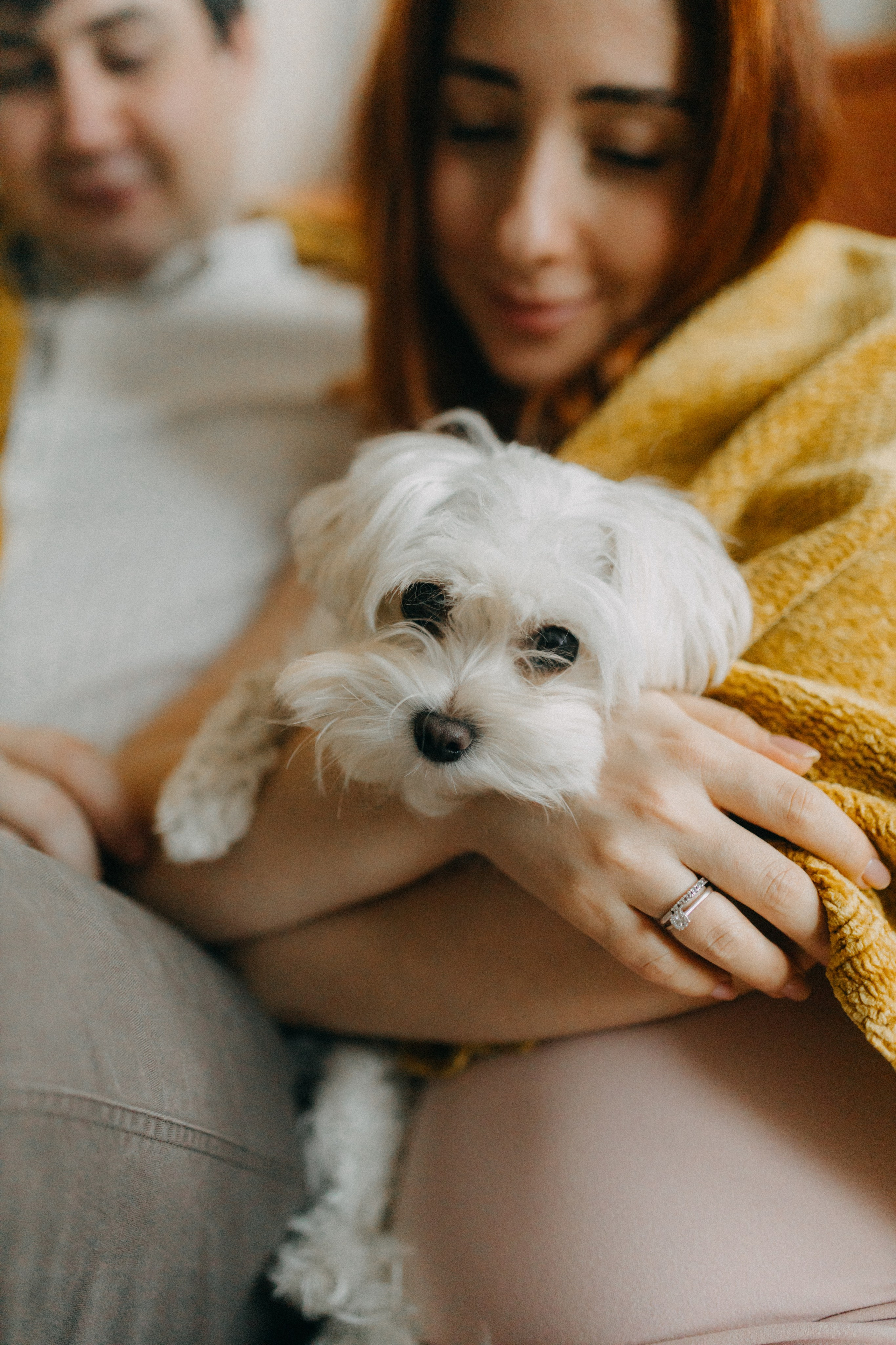 Алана & Альфред. Беременность. Фотограф НОГИНСК, Москва, Анастасия Белая
