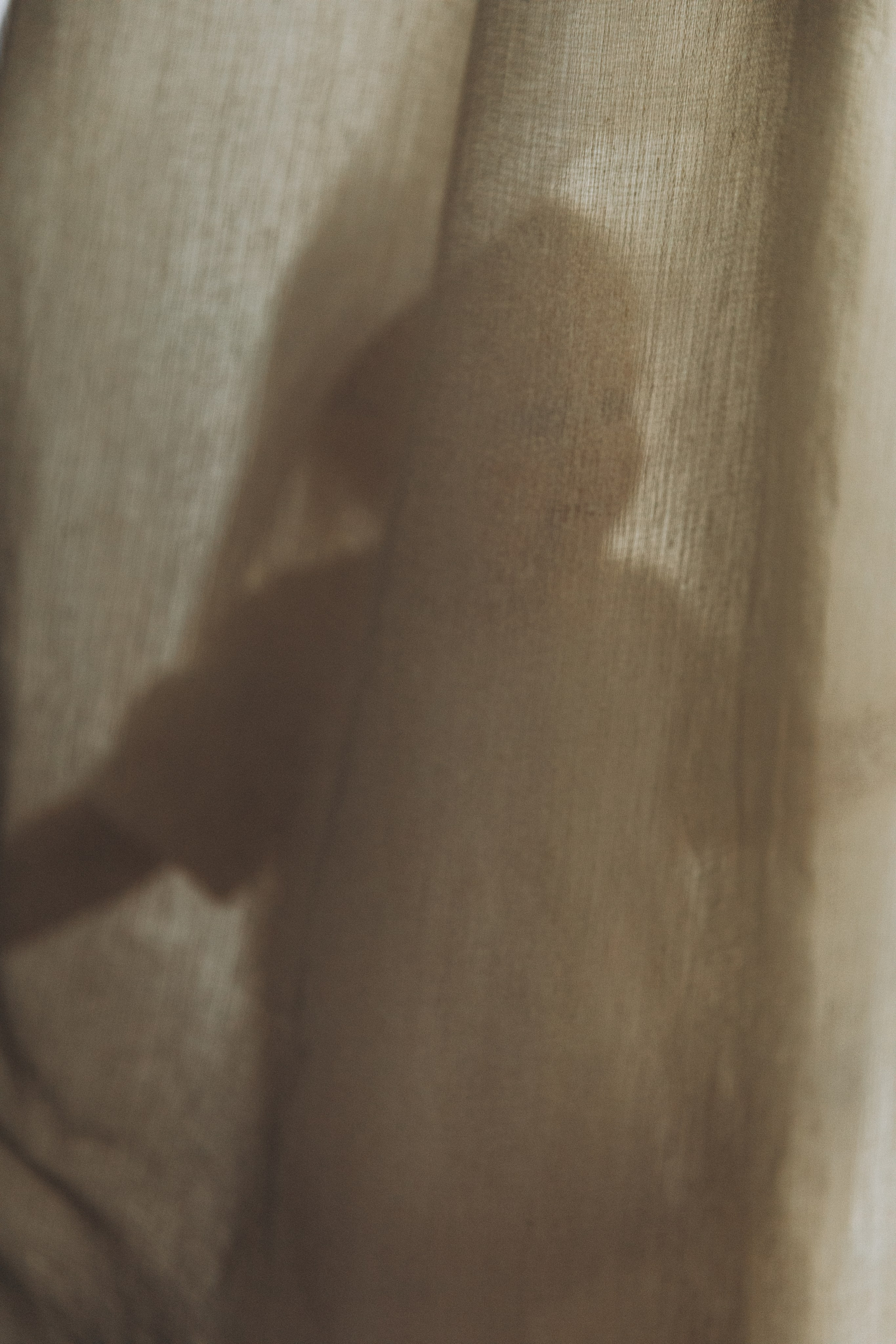 Клубничный пирог. Фотограф  Челябинск Варвара Шарапова