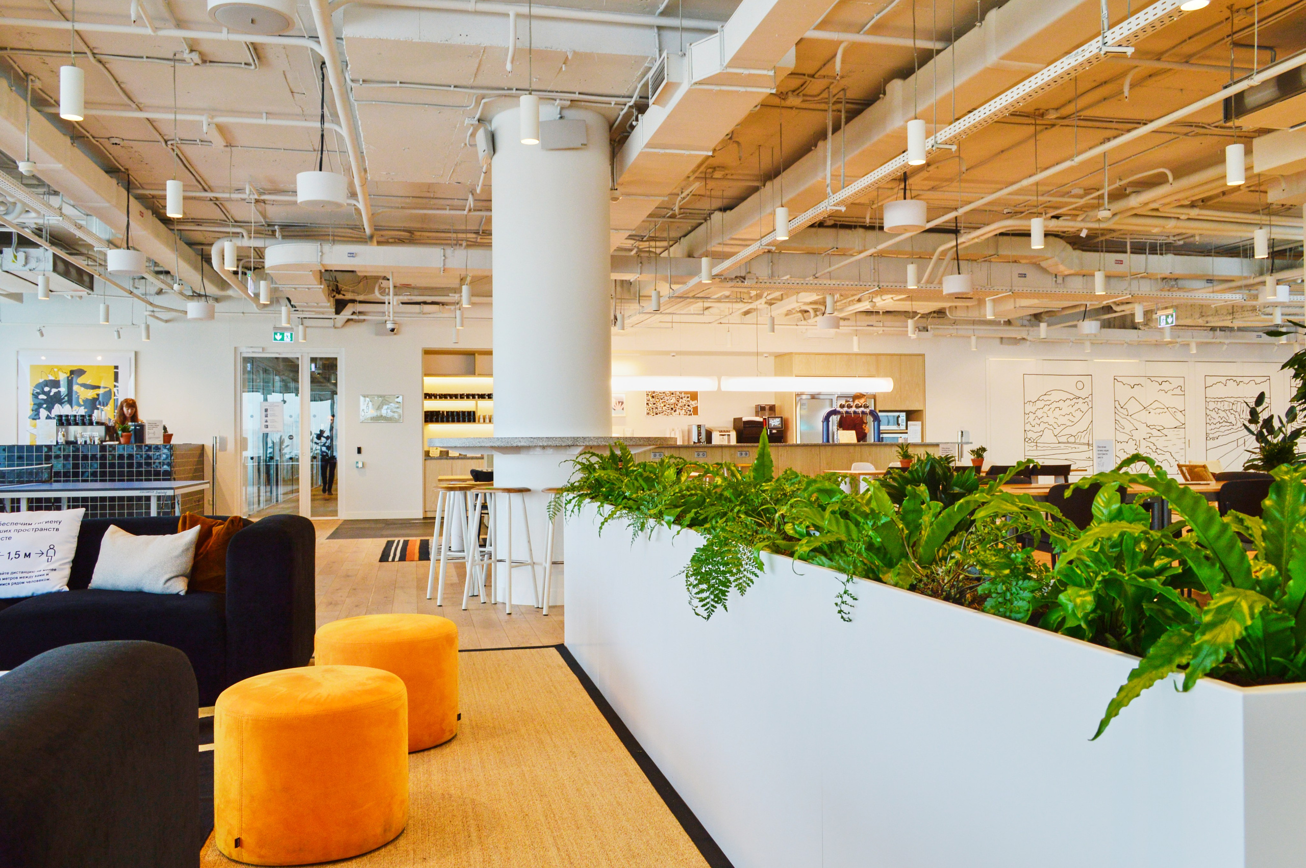 Озеленение ГК Techo. Фото и видео съемка в Сочи Адлере Красной поляне