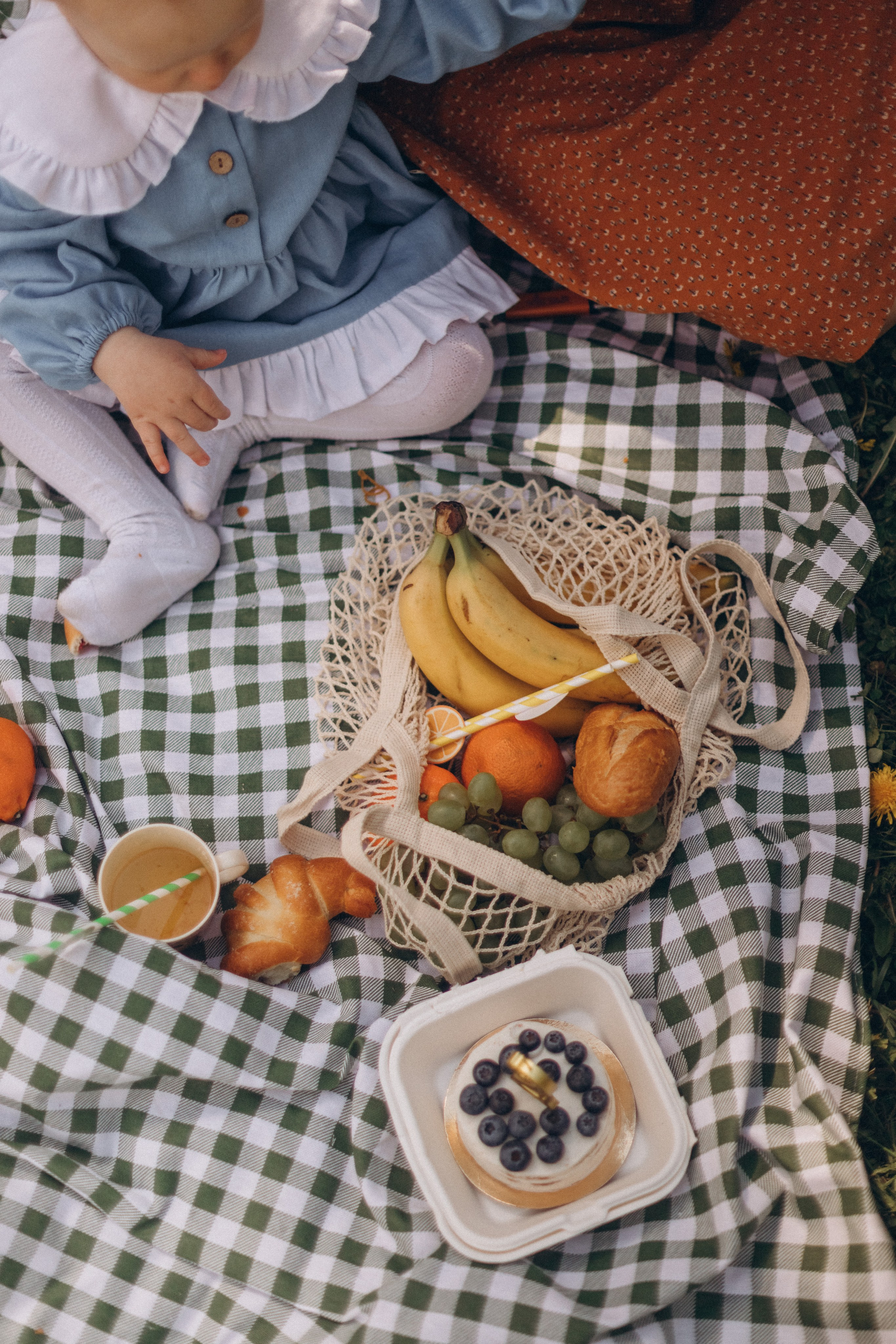 Пикник в парке. Детский и семейный фотограф в Москве Светлана Шабалина