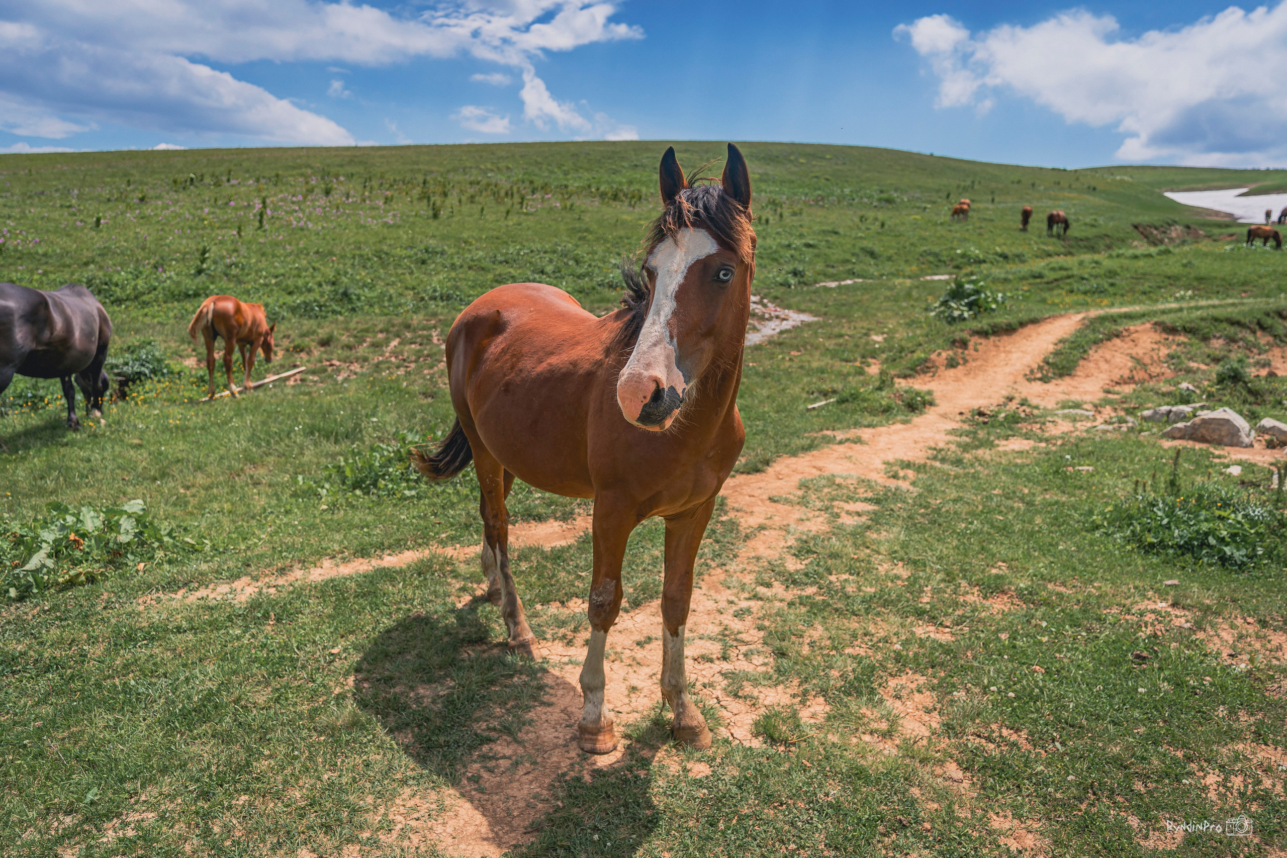 Велотур Велотридцатка 13 июля 2024 Ковальтур. Репортажный фотограф в Краснодаре Рындин Дмитрий