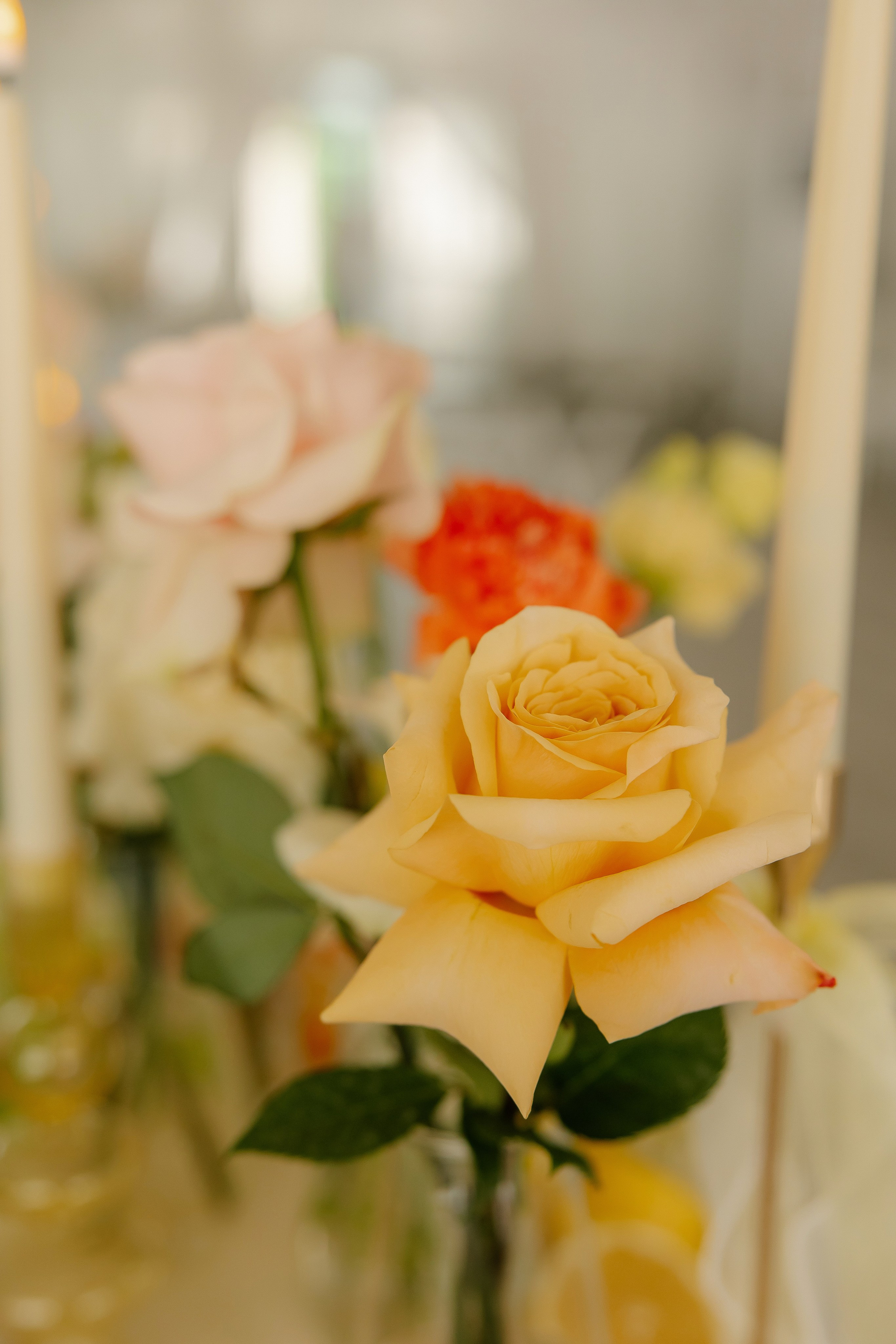 …ты мое солнце…. Свадебный и женский фотограф в Твери Екатерина Гребенкина