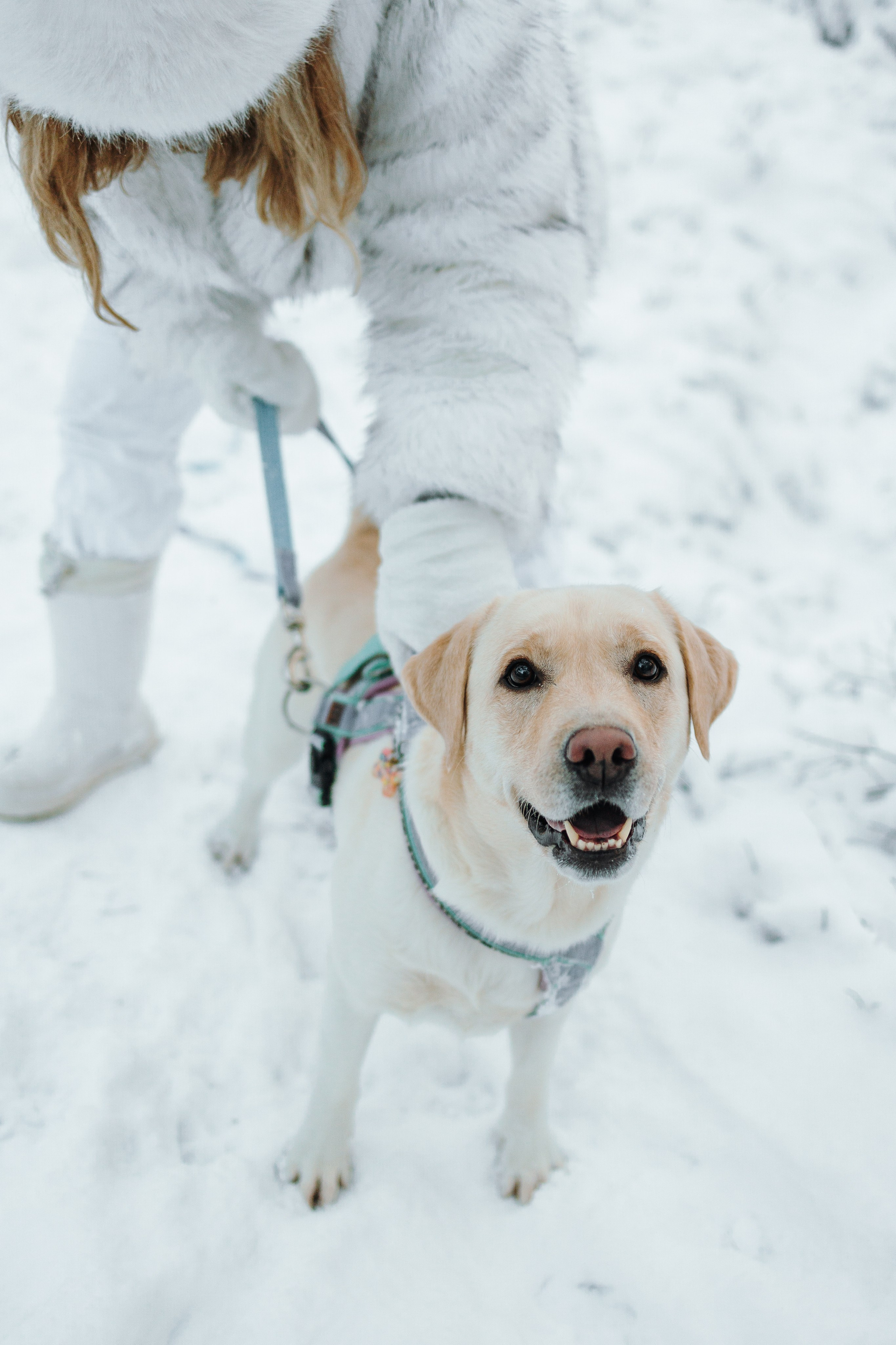 Ребята и их хвостатая семейка. Фотограф — Анималист | Санкт-Петербург