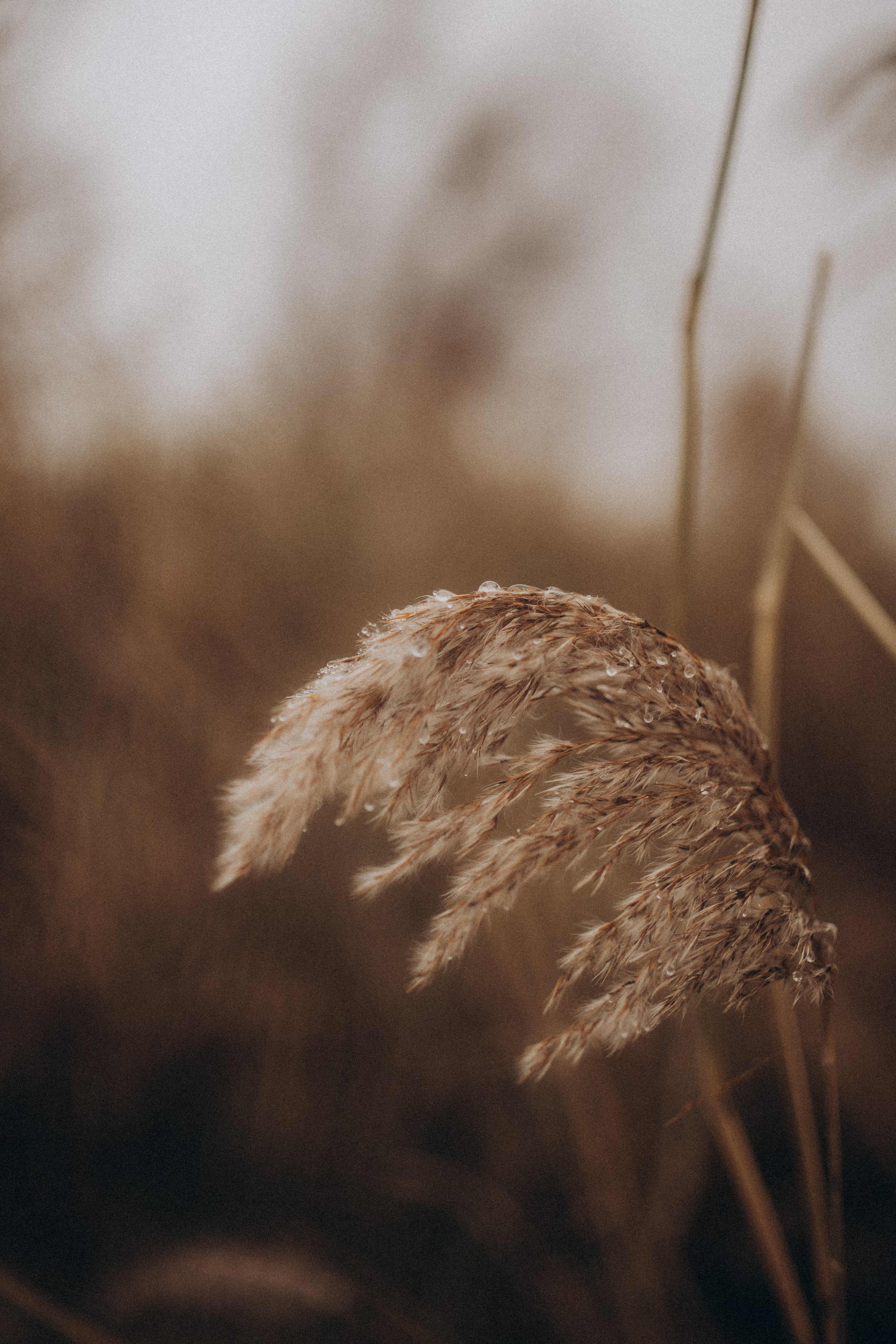 Осенний пляж. Свадебный фотограф Казань