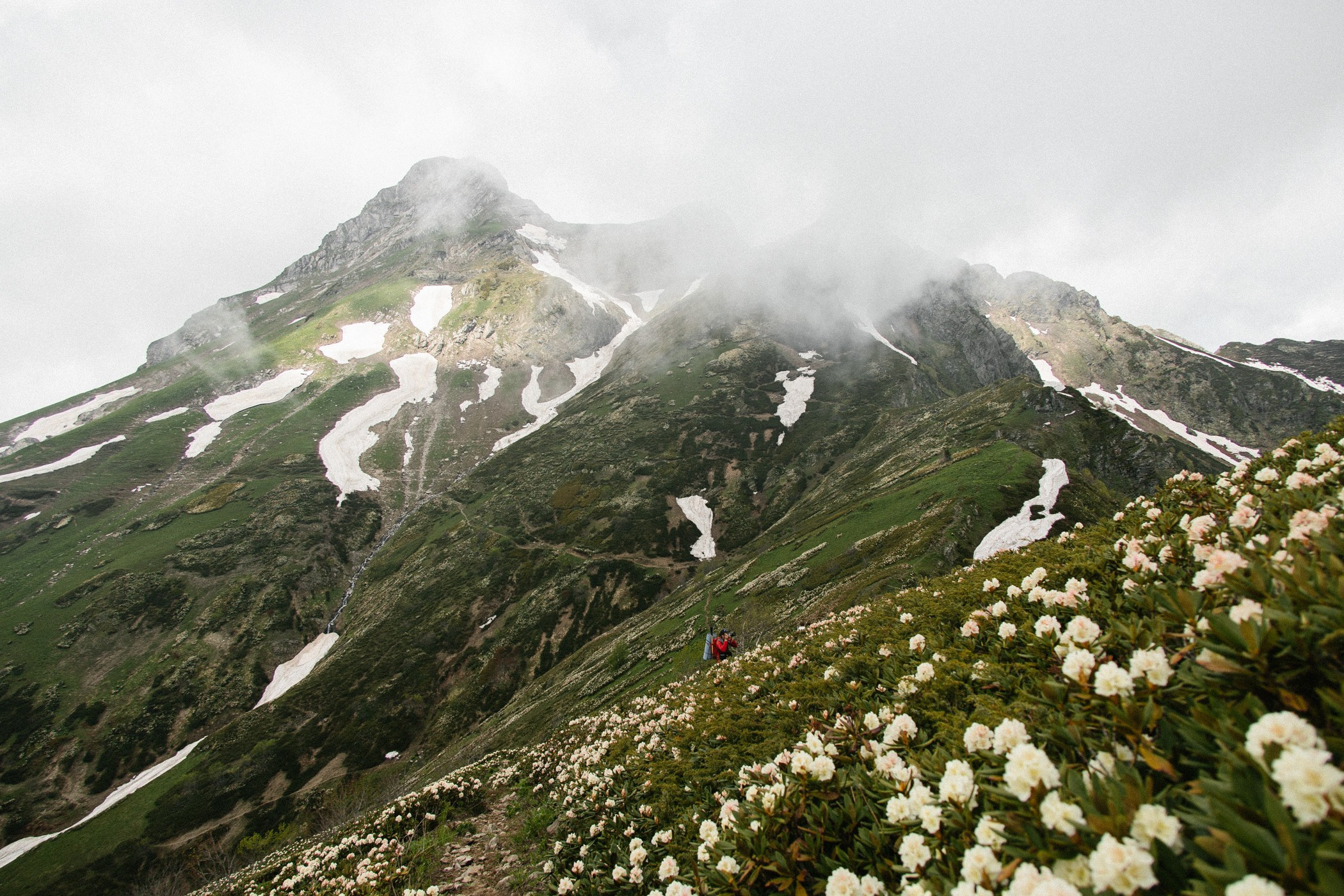 Природа. Фотограф и видеограф в Стокгольме — Любовь Лангер