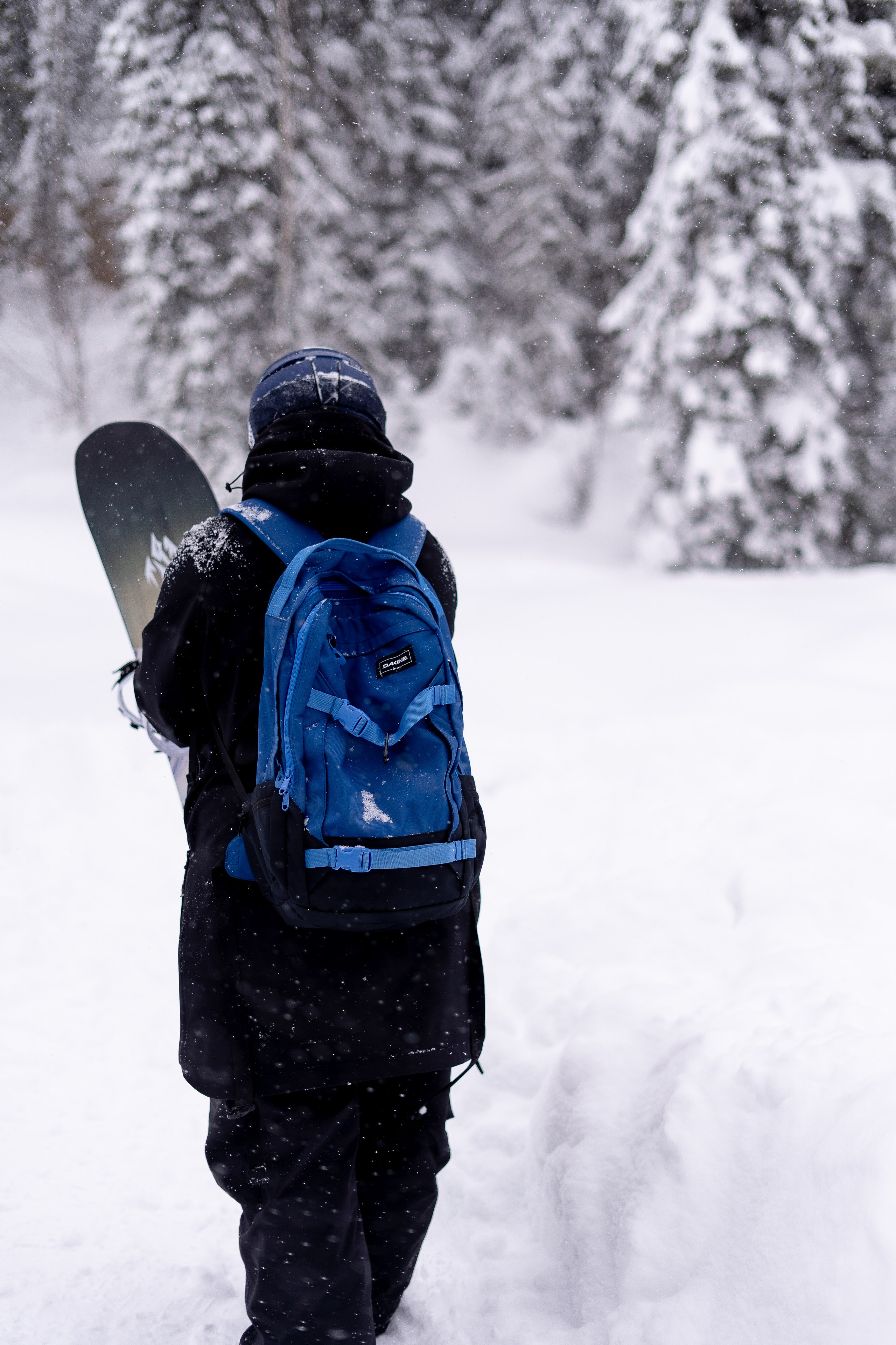 Джон 14.02. Анастасия Паршукова — фотограф Шерегеш Новосибирск
