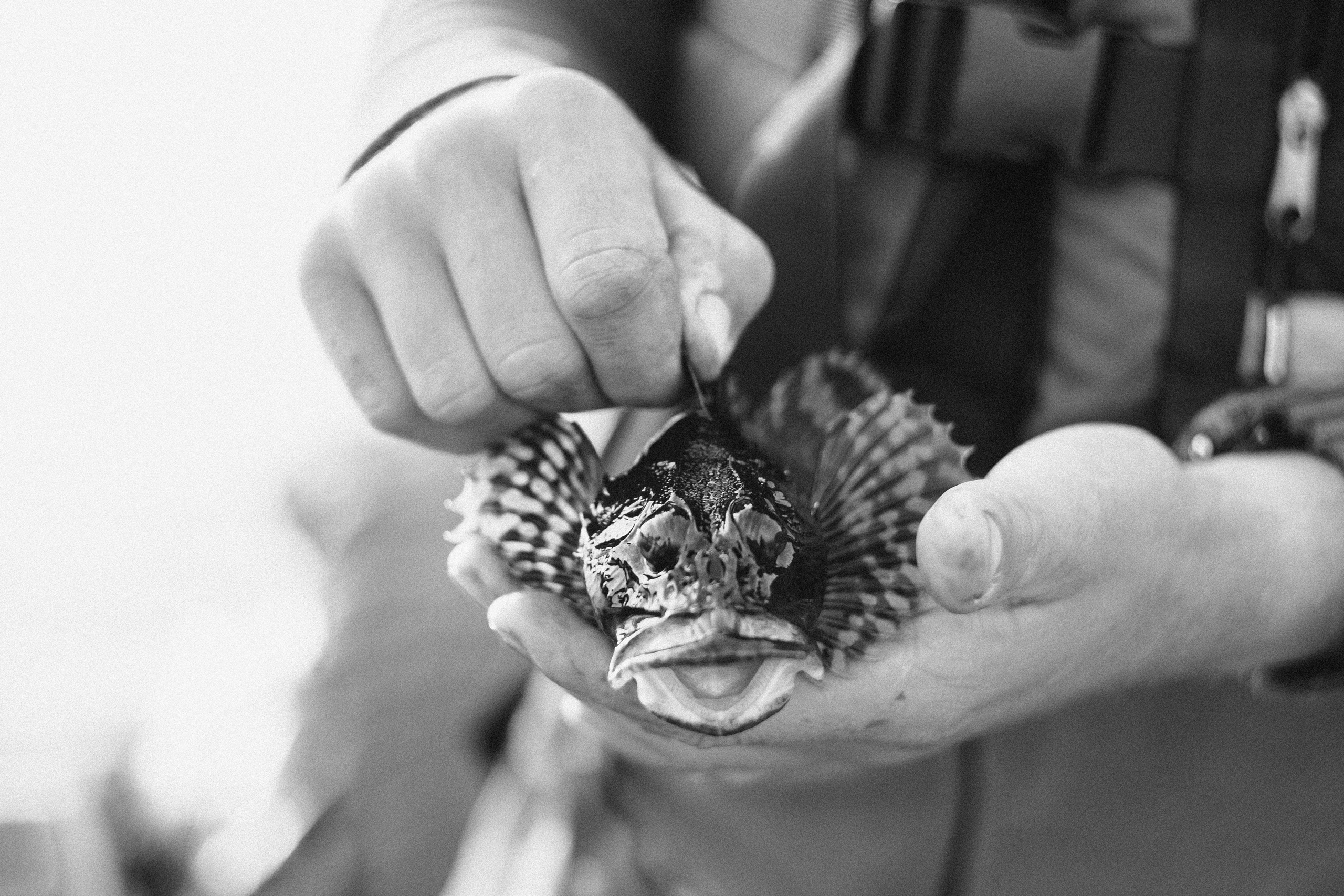 Белое море. Фотограф Санкт-Петербург Макарова Дарья