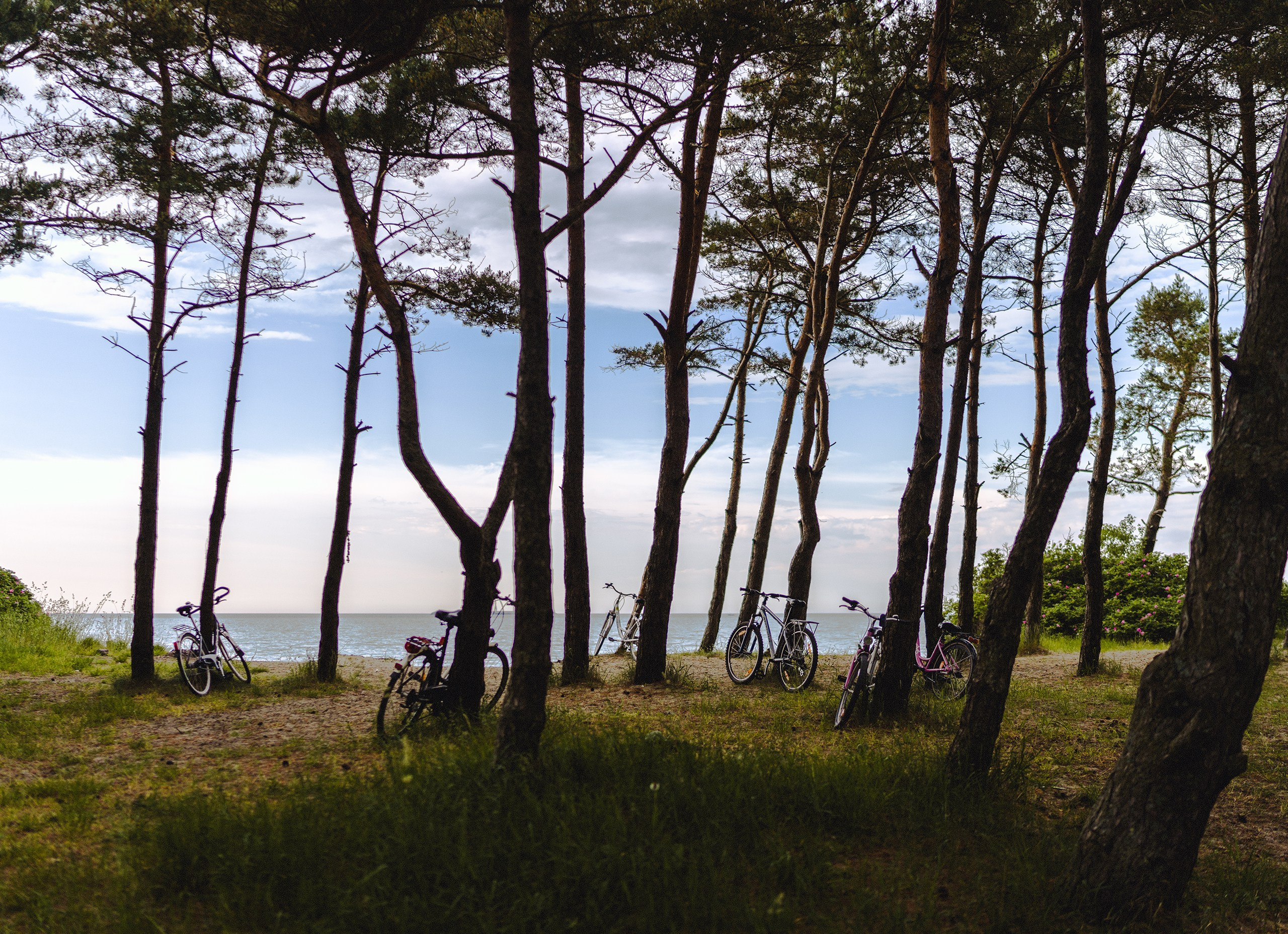 Илья Казанков. Фотограф и графический дизайнер из Калининграда