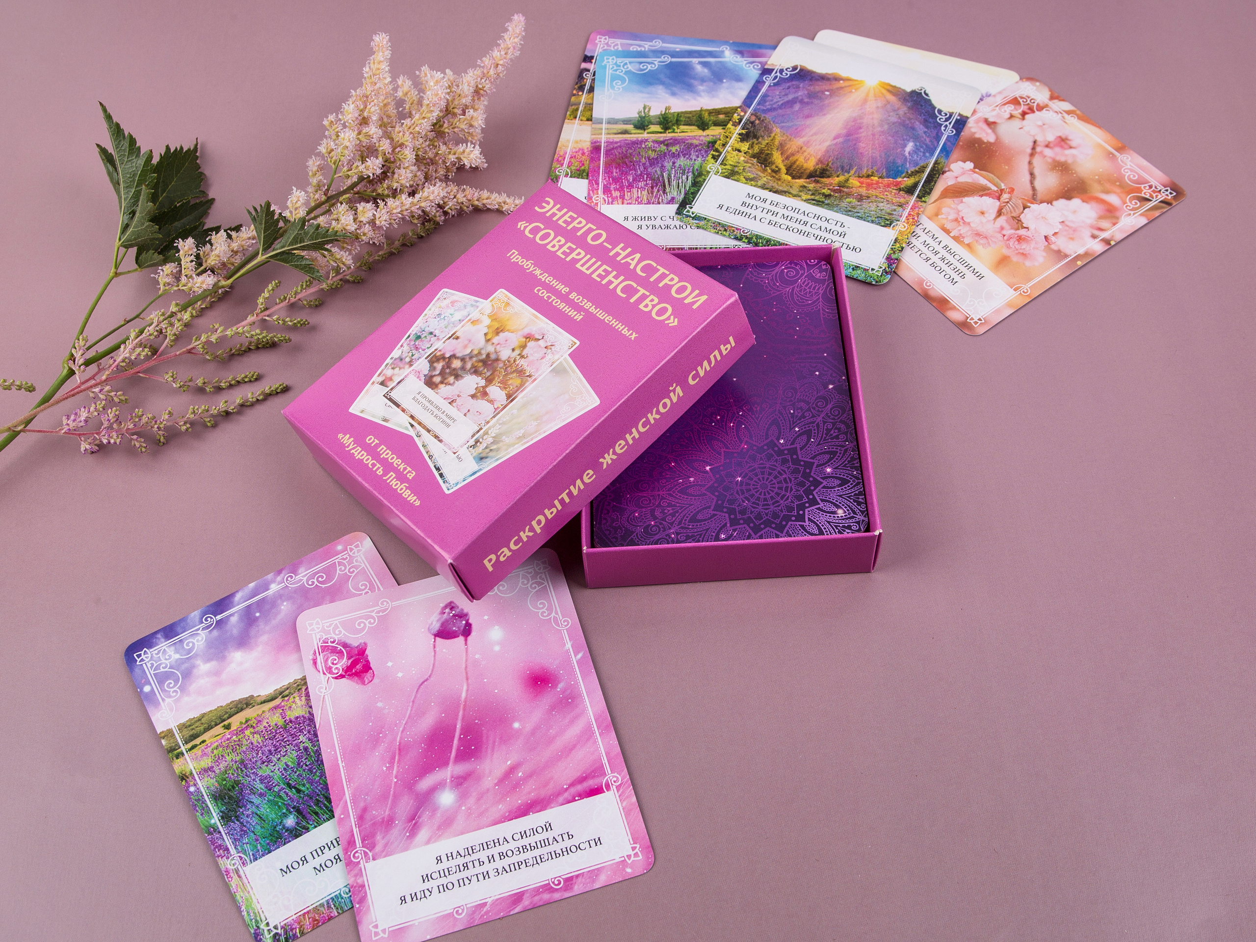 Типография Алес. Предметный и семейный фотограф в Санкт-Петербурге Катерина Стеклова