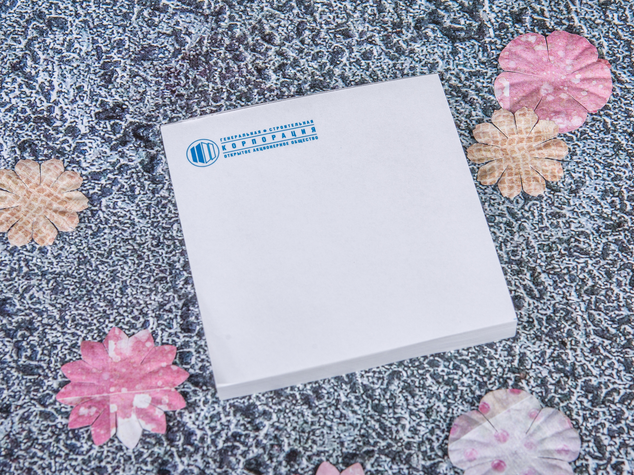 Типография Алес. Предметный и семейный фотограф в Санкт-Петербурге Катерина Стеклова