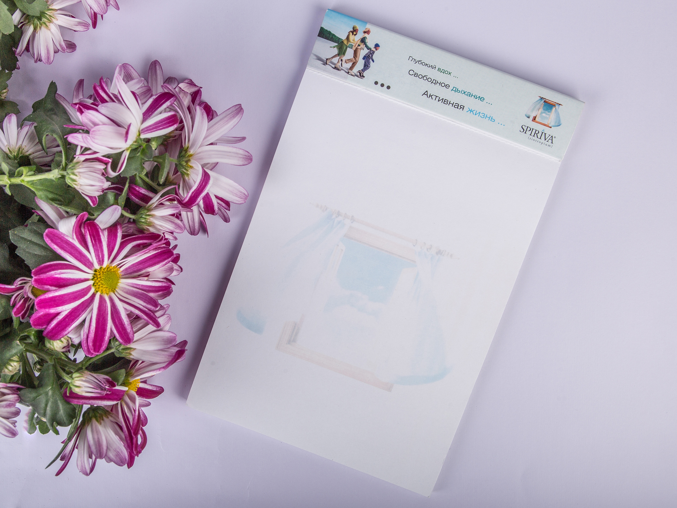 Типография Алес. Предметный и семейный фотограф в Санкт-Петербурге Катерина Стеклова