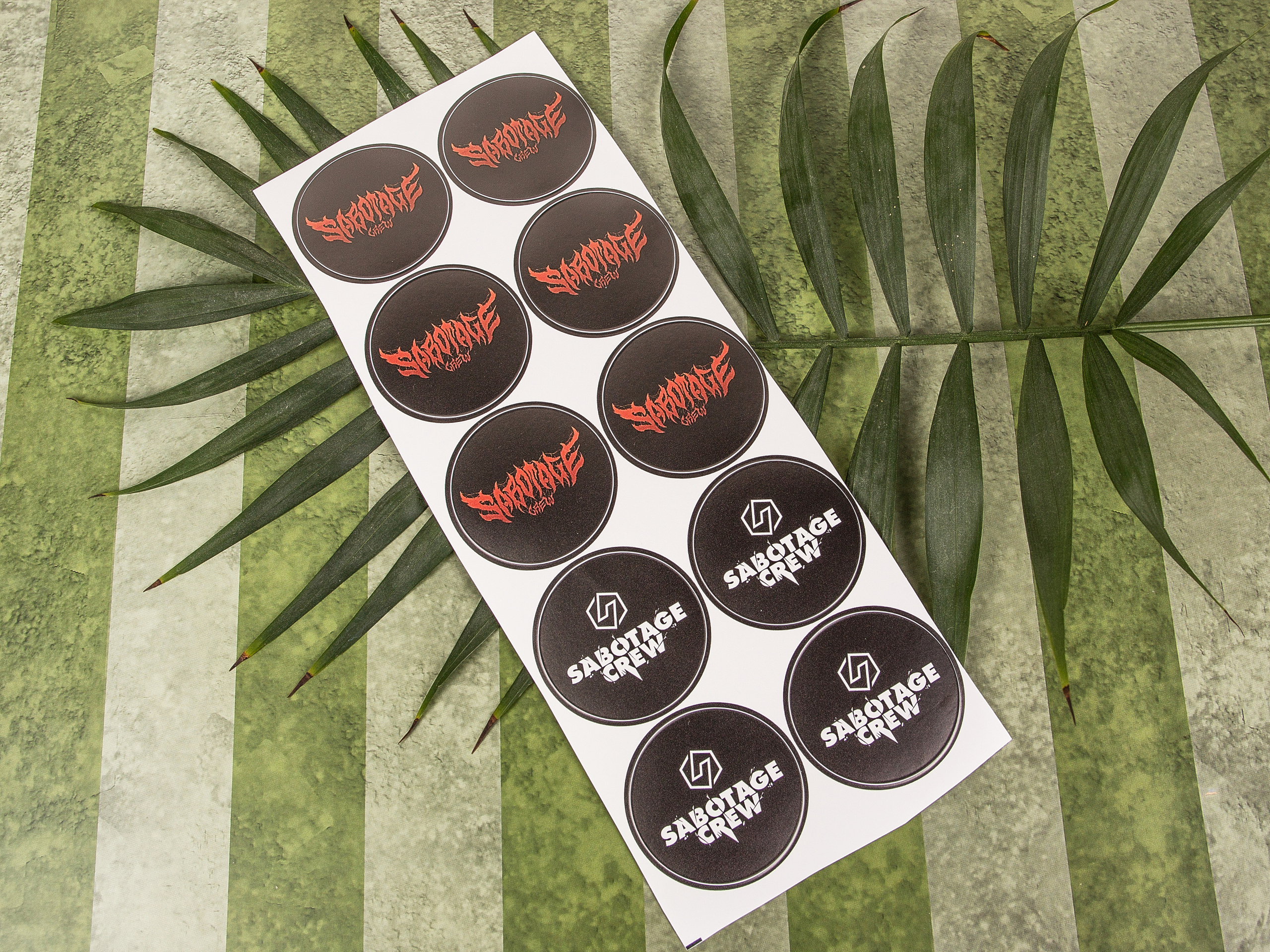 Типография Алес. Предметный и семейный фотограф в Санкт-Петербурге Катерина Стеклова