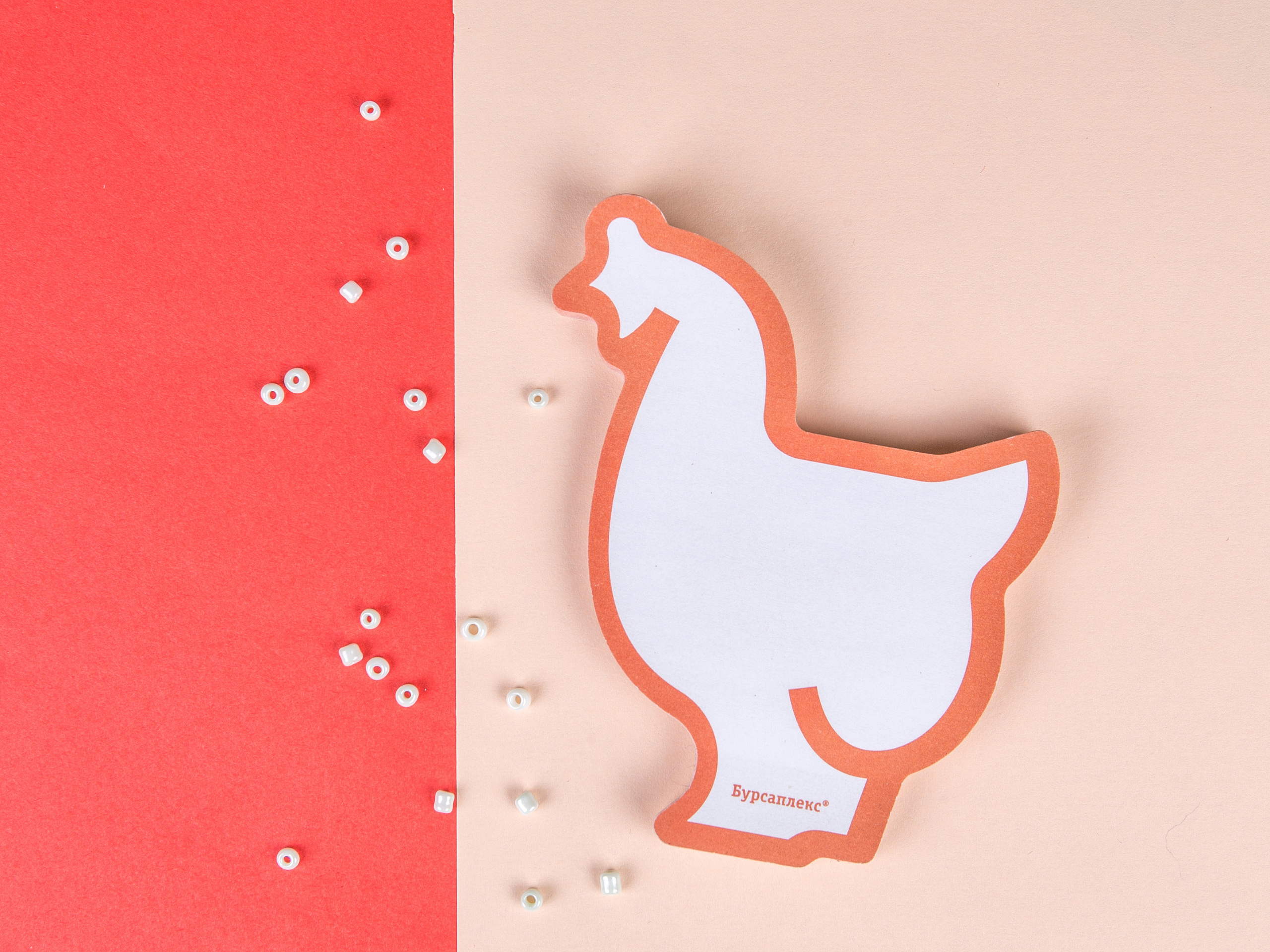 Типография Алес. Предметный и семейный фотограф в Санкт-Петербурге Катерина Стеклова