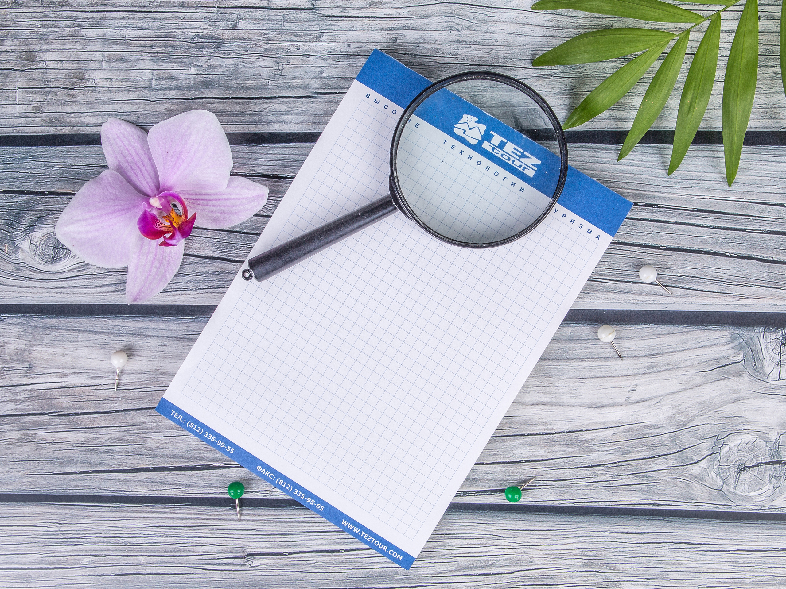 Типография Алес. Предметный и семейный фотограф в Санкт-Петербурге Катерина Стеклова