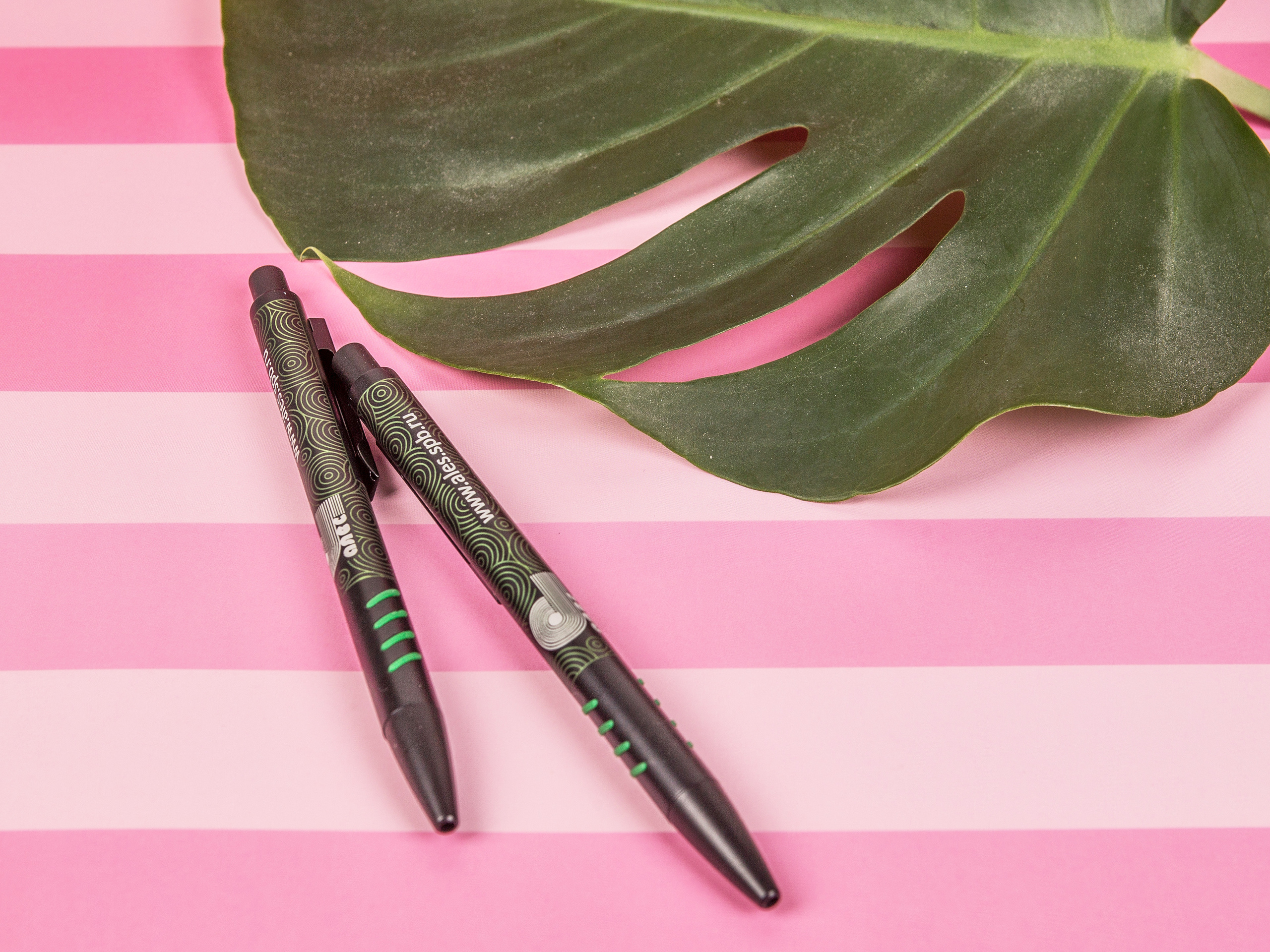 Типография Алес. Предметный и семейный фотограф в Санкт-Петербурге Катерина Стеклова