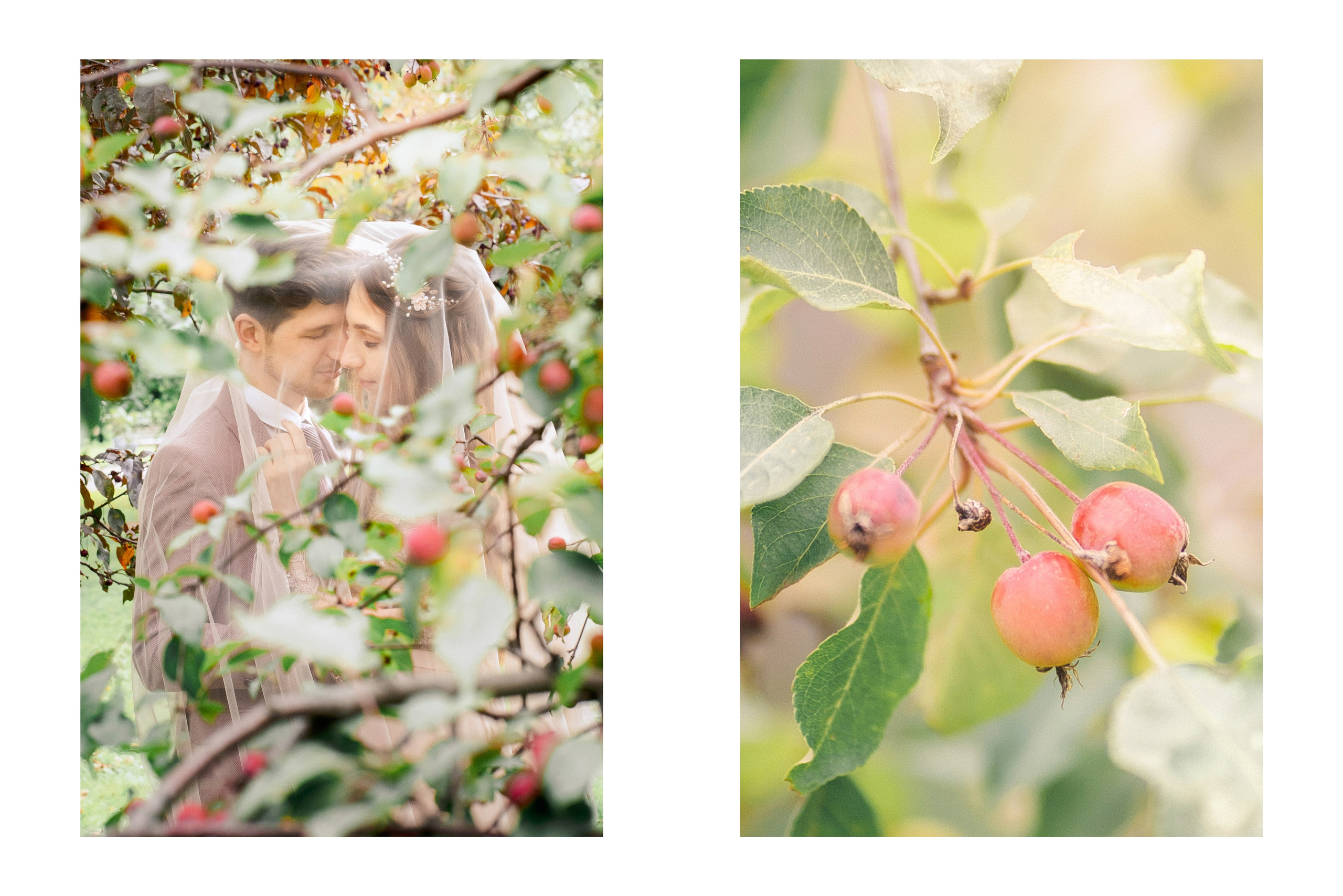 Свадебный фотограф Москва. Фотограф Москва — Павел Михайлов